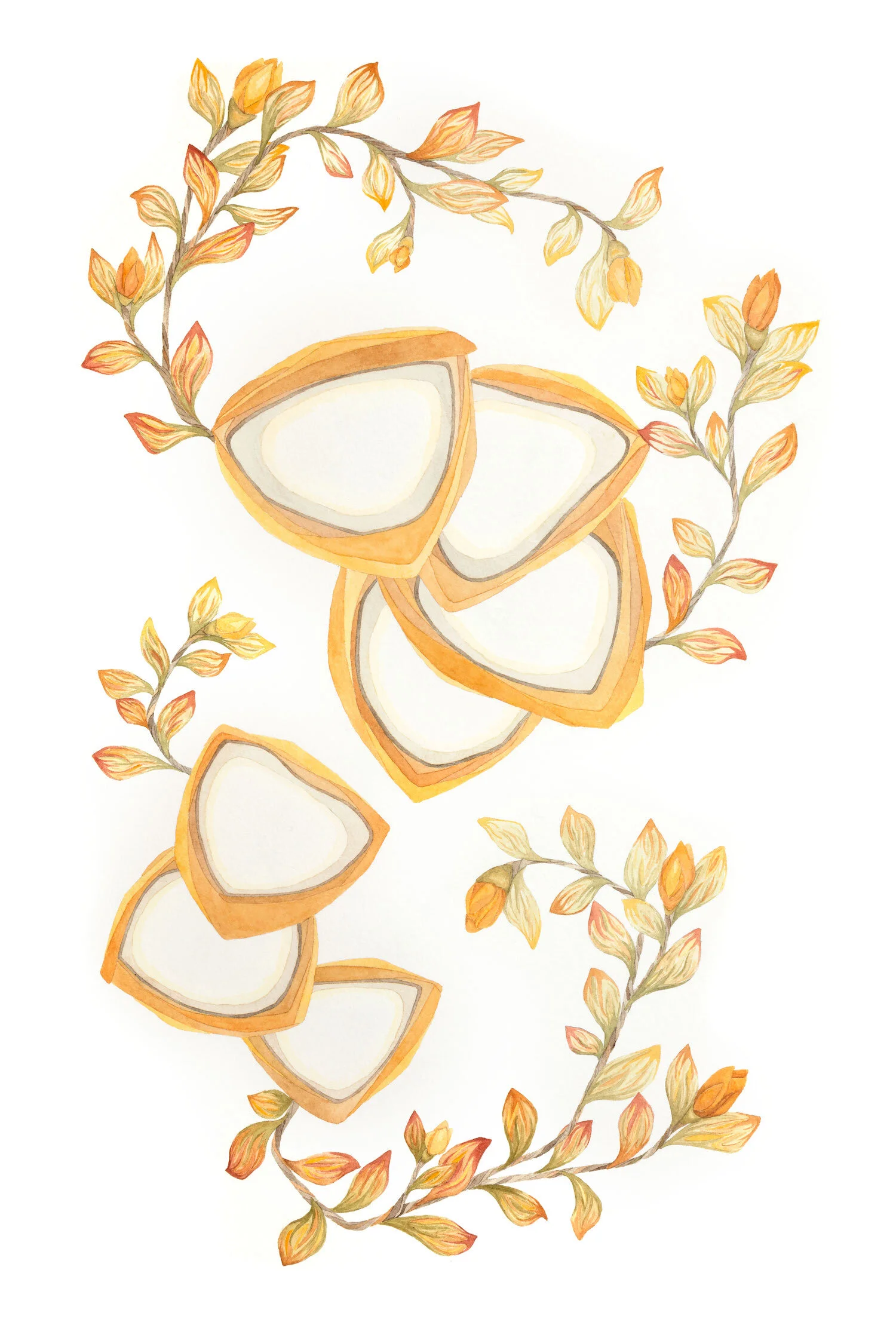 Fortuity, Image © Amy Massey 2020