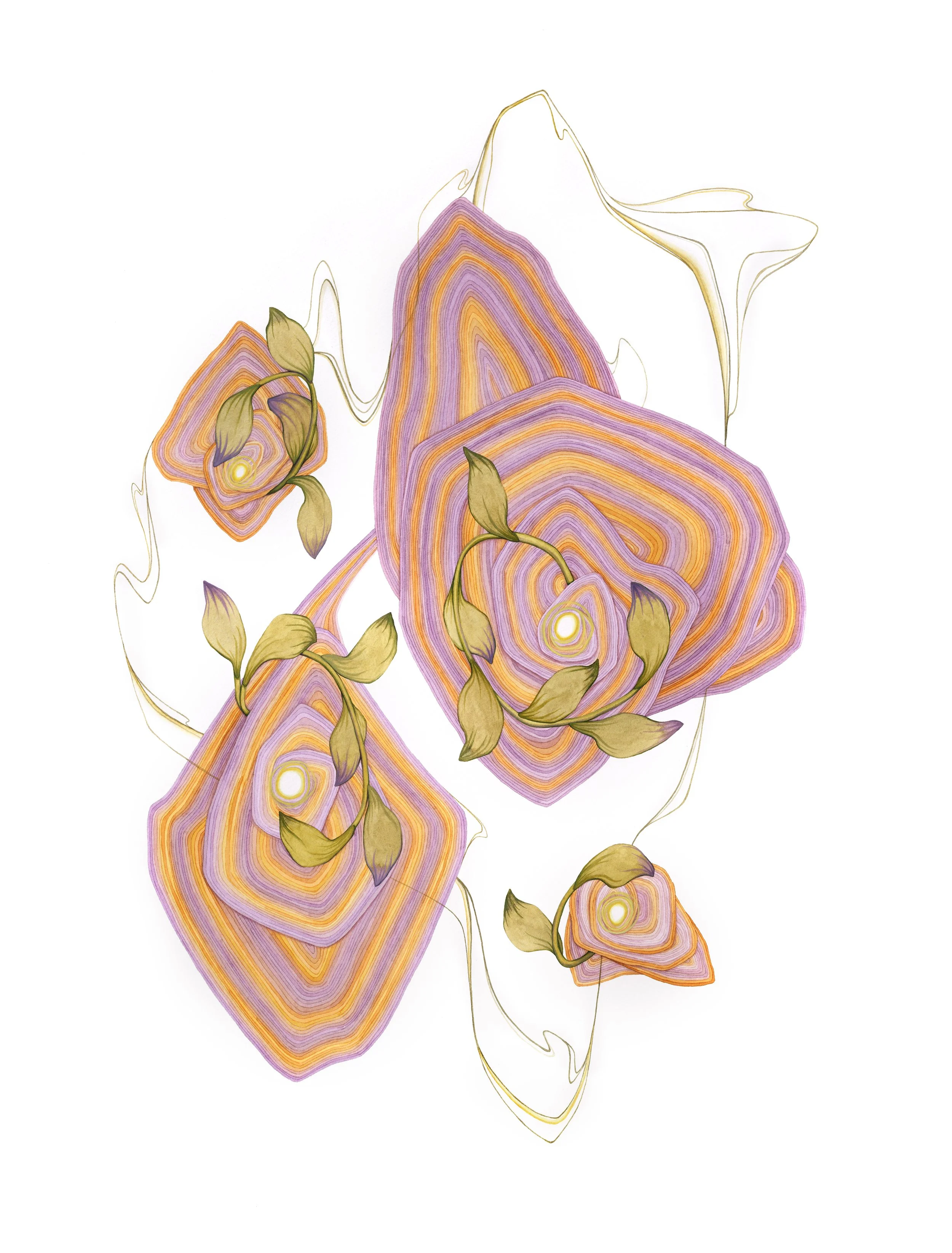 Bending Toward the Light