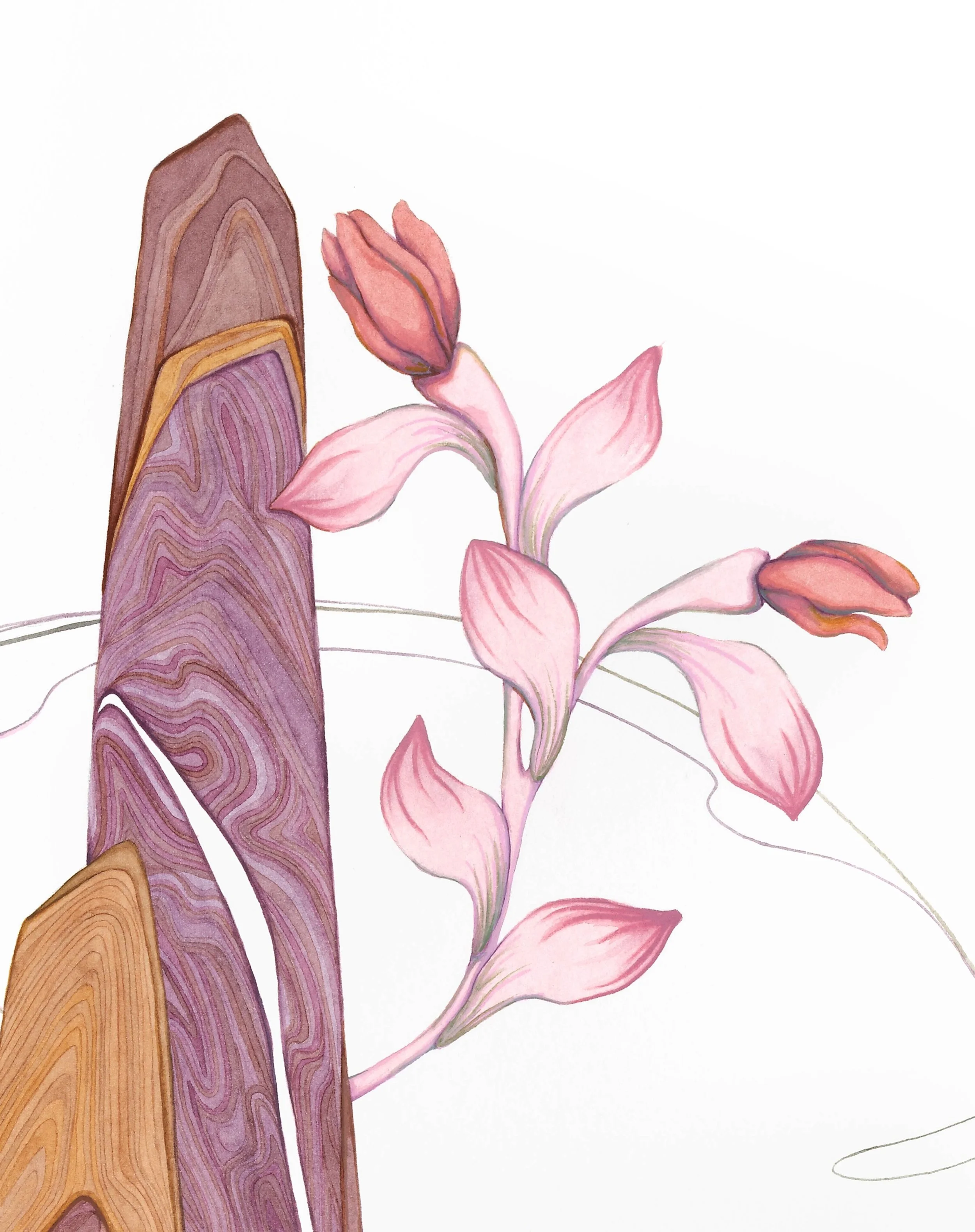 ResilienceDetail1.jpg