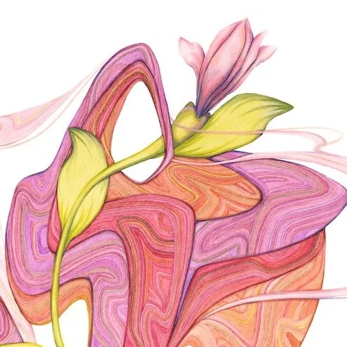 SofteningDetail1.jpg