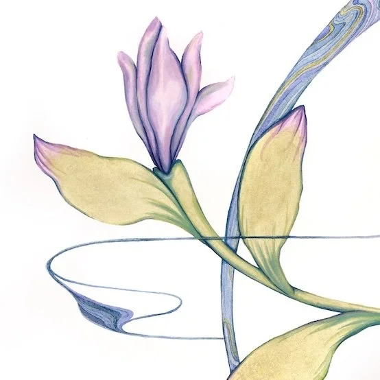 RenewalDetail2.jpg
