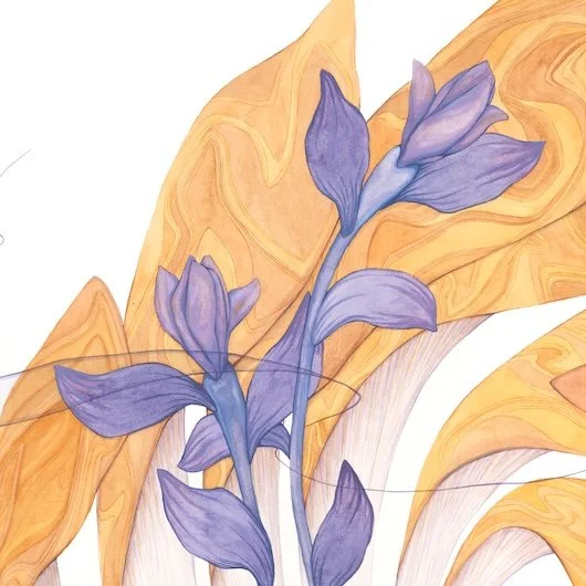 UnfurlingDetail1.jpg
