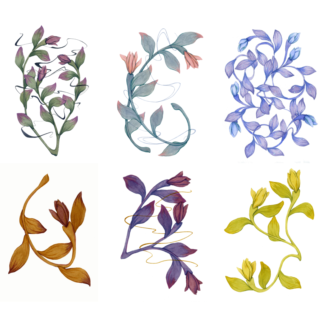 Greeting Card Bundle Image Set.png