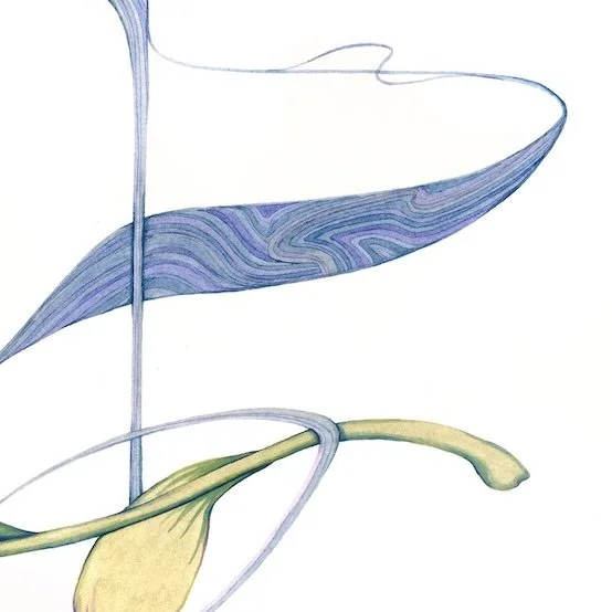 RenewalDetail3.jpg