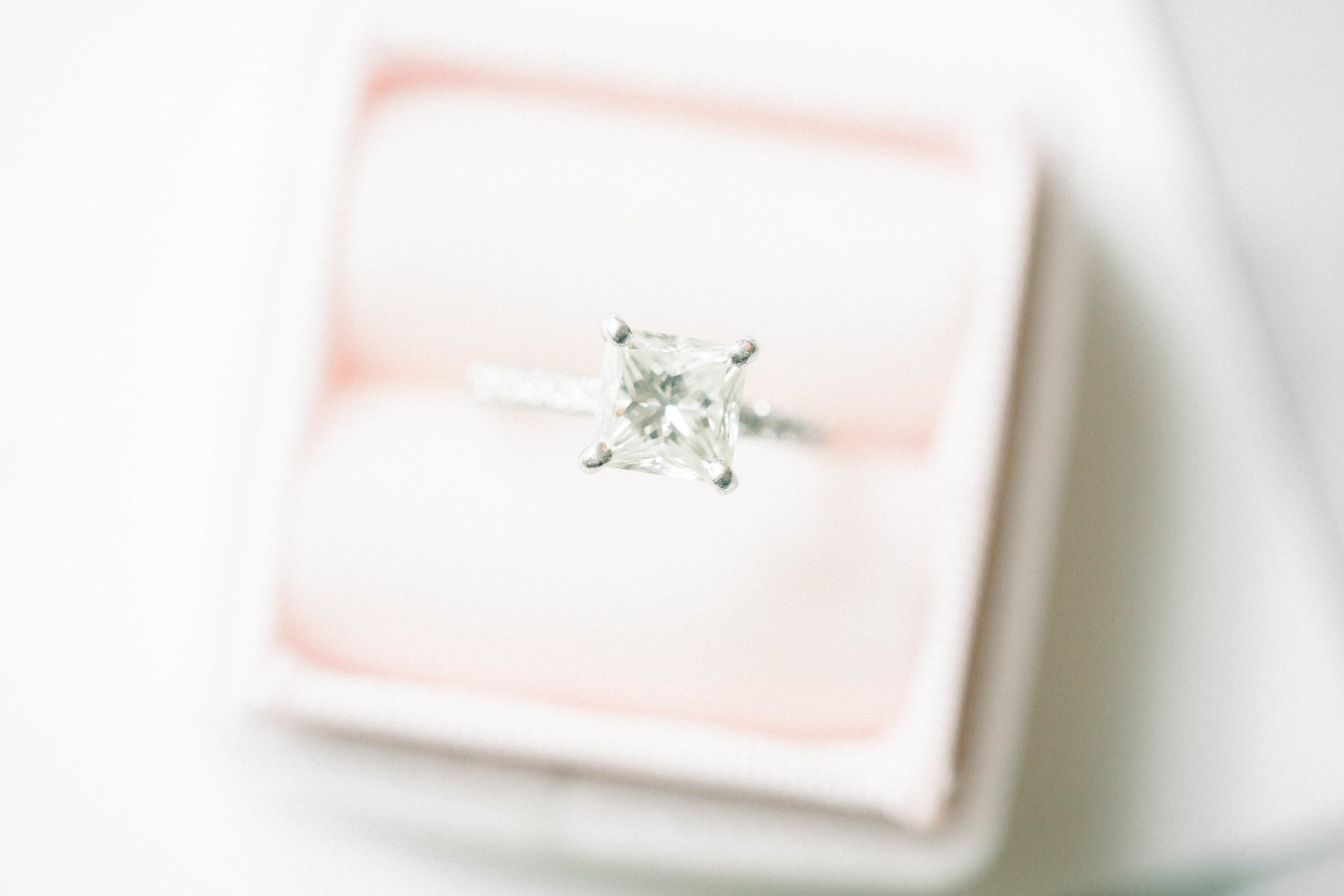 Abbie Tyler Photography (4 of 225).jpg