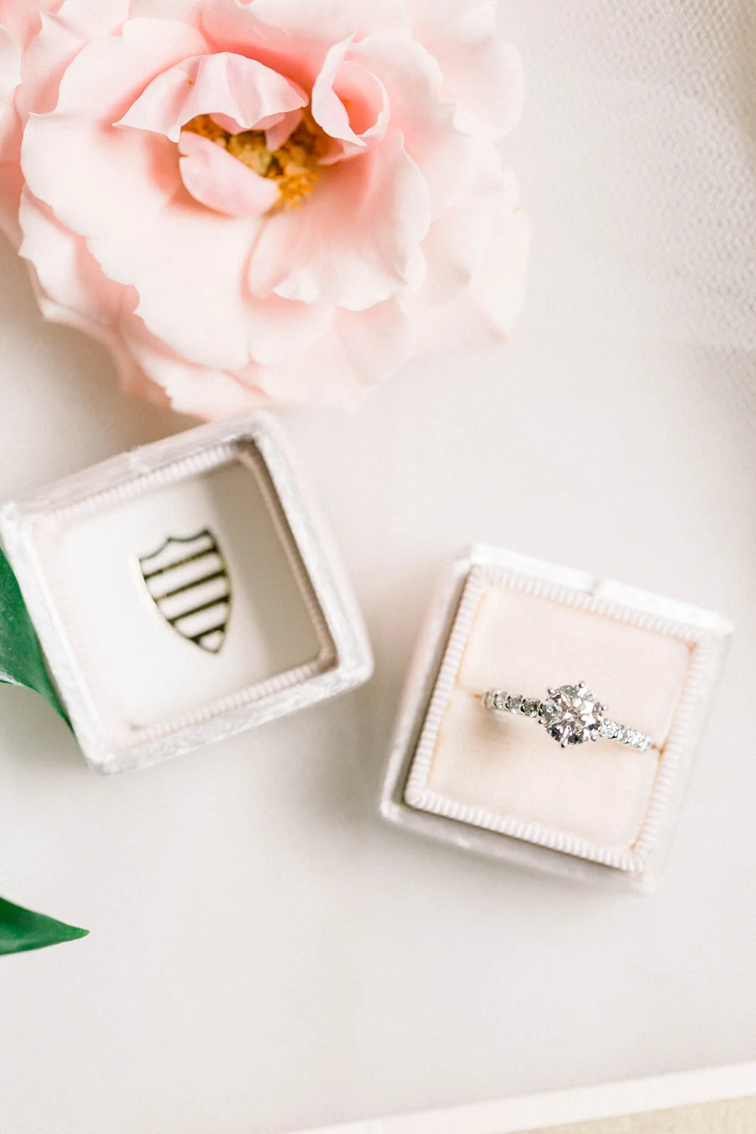 Abbie_Tyler_Photography_(9_of_117).jpg