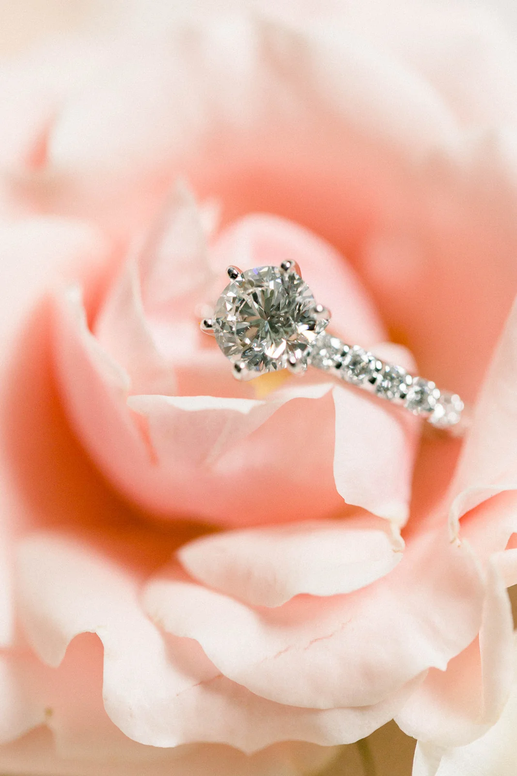 Abbie_Tyler_Photography_(11_of_117).jpg