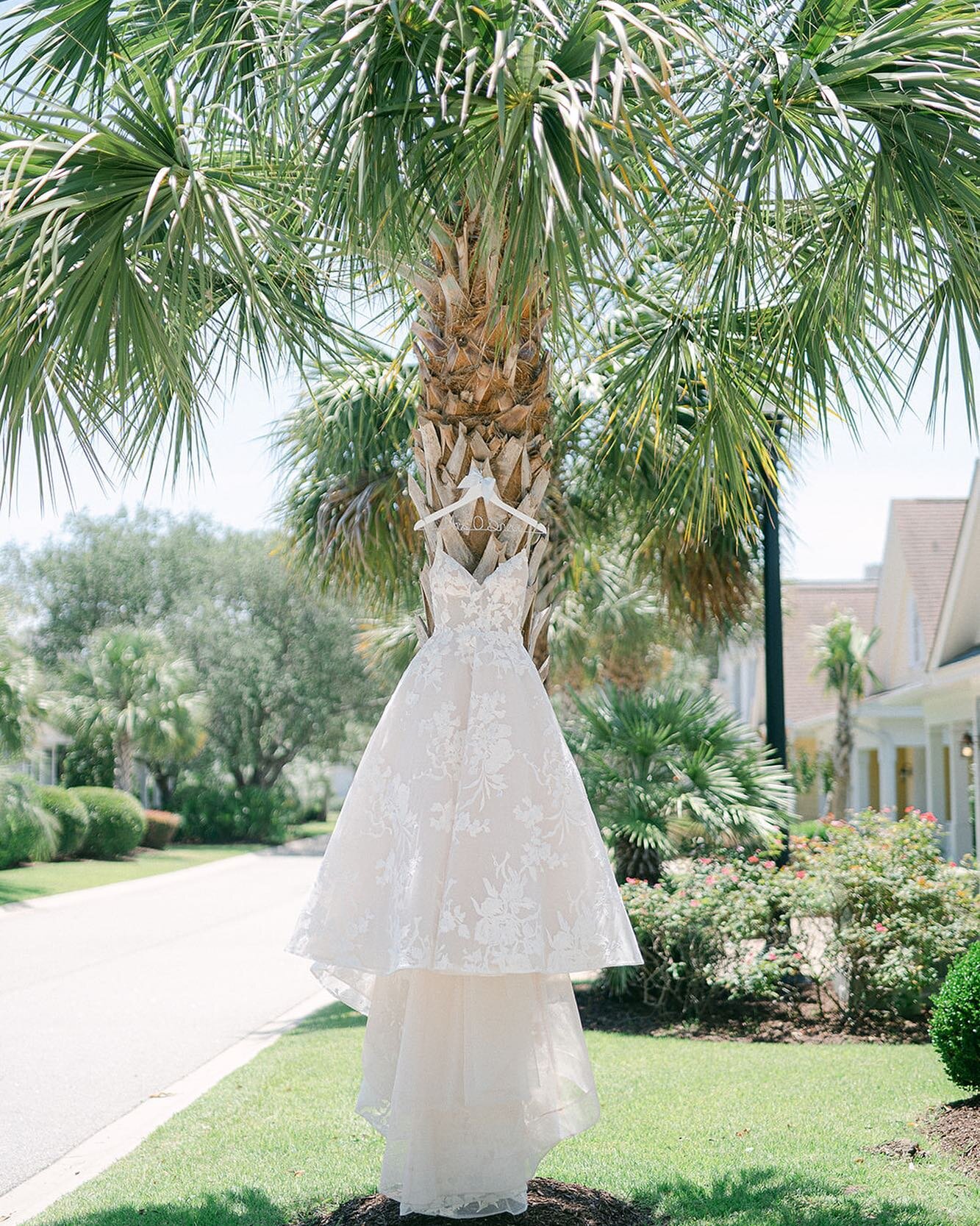 Adding some sunshine to the feed today! While the snow looks pretty here in pa, I&rsquo;m ready for warmer days filled with blooming cherry blossoms and magnolia trees!