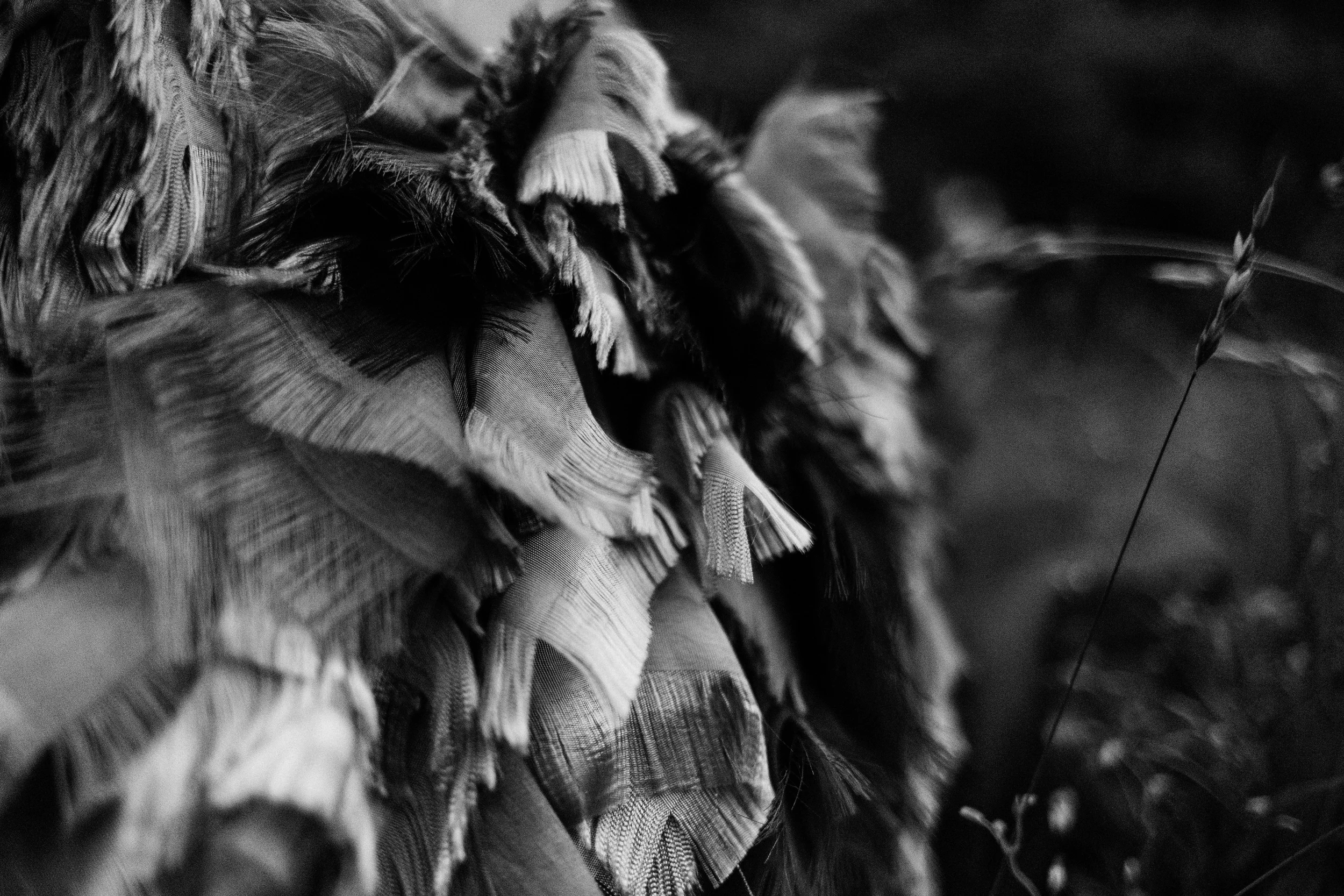 Jessica Clarke Textile Designer