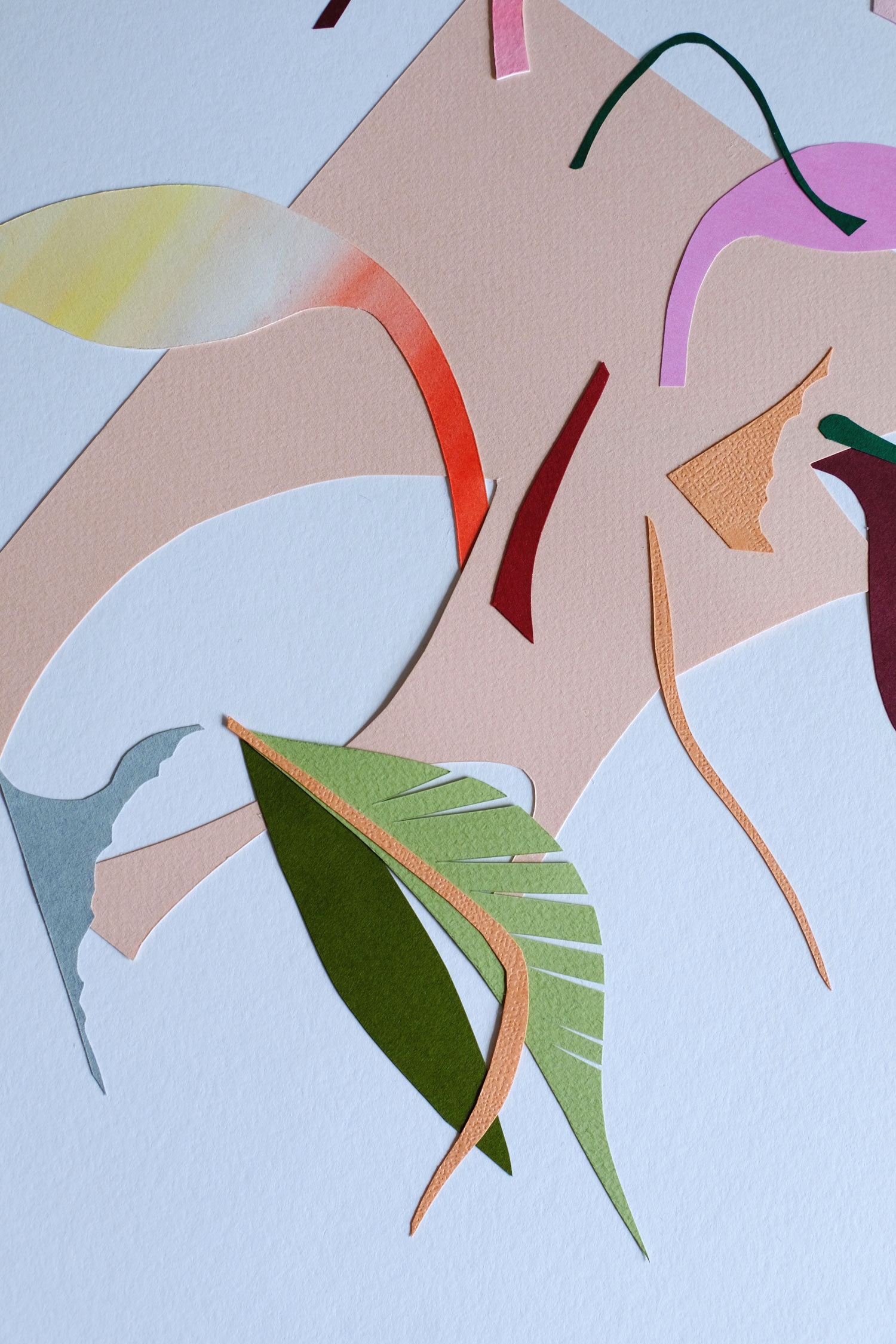 Heliconia Offcut Play