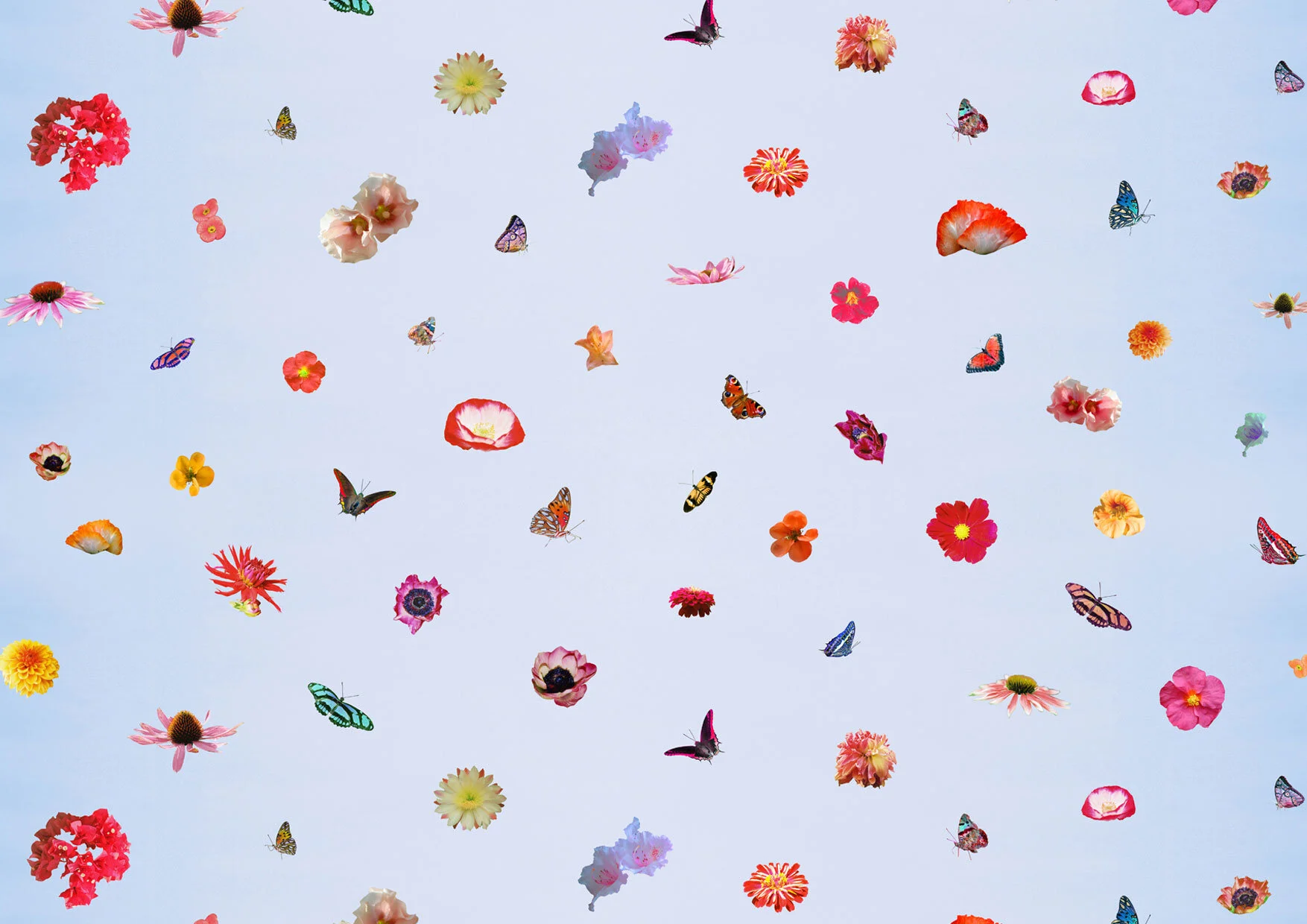 Allover accompanying print 