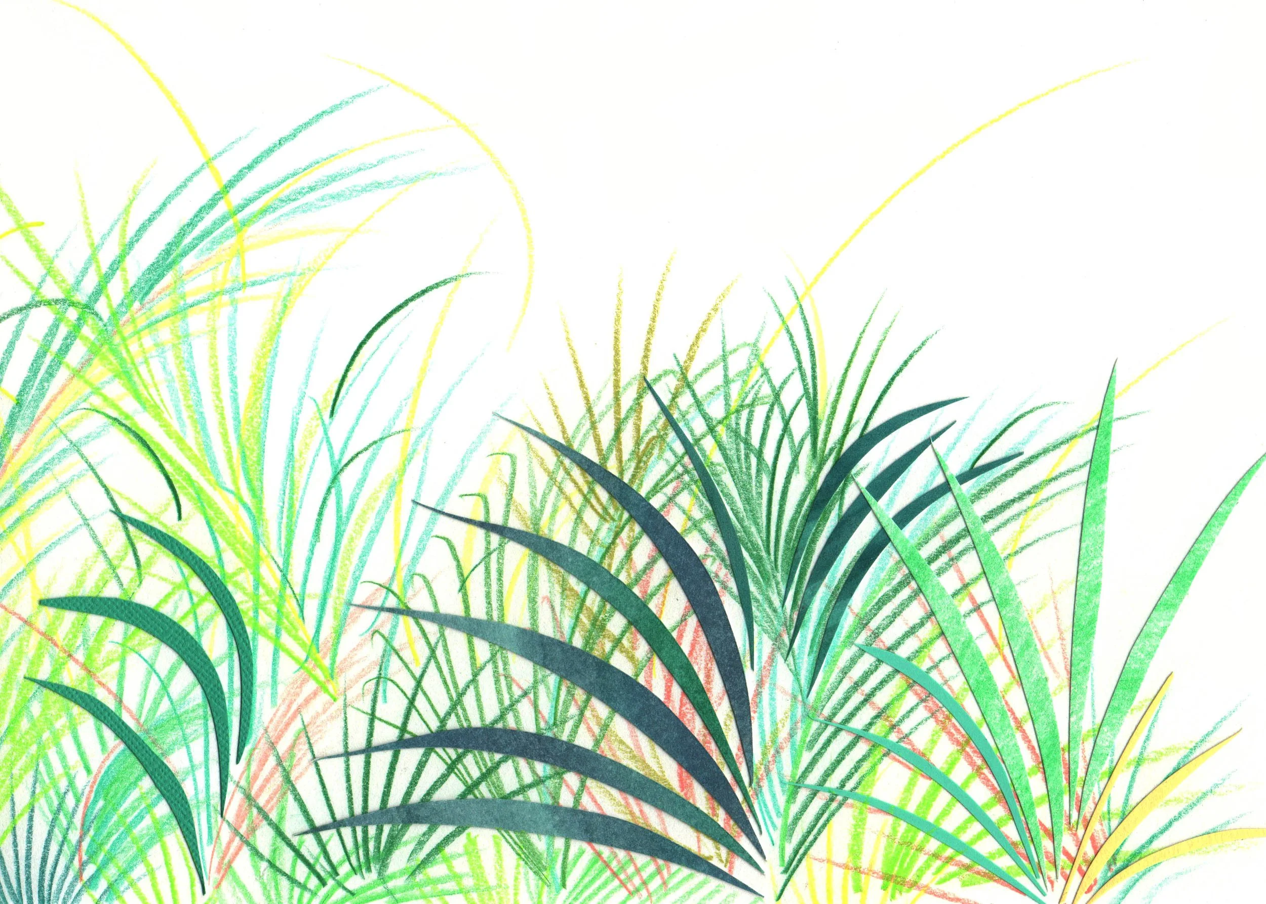 Siargao collage pimped.JPG