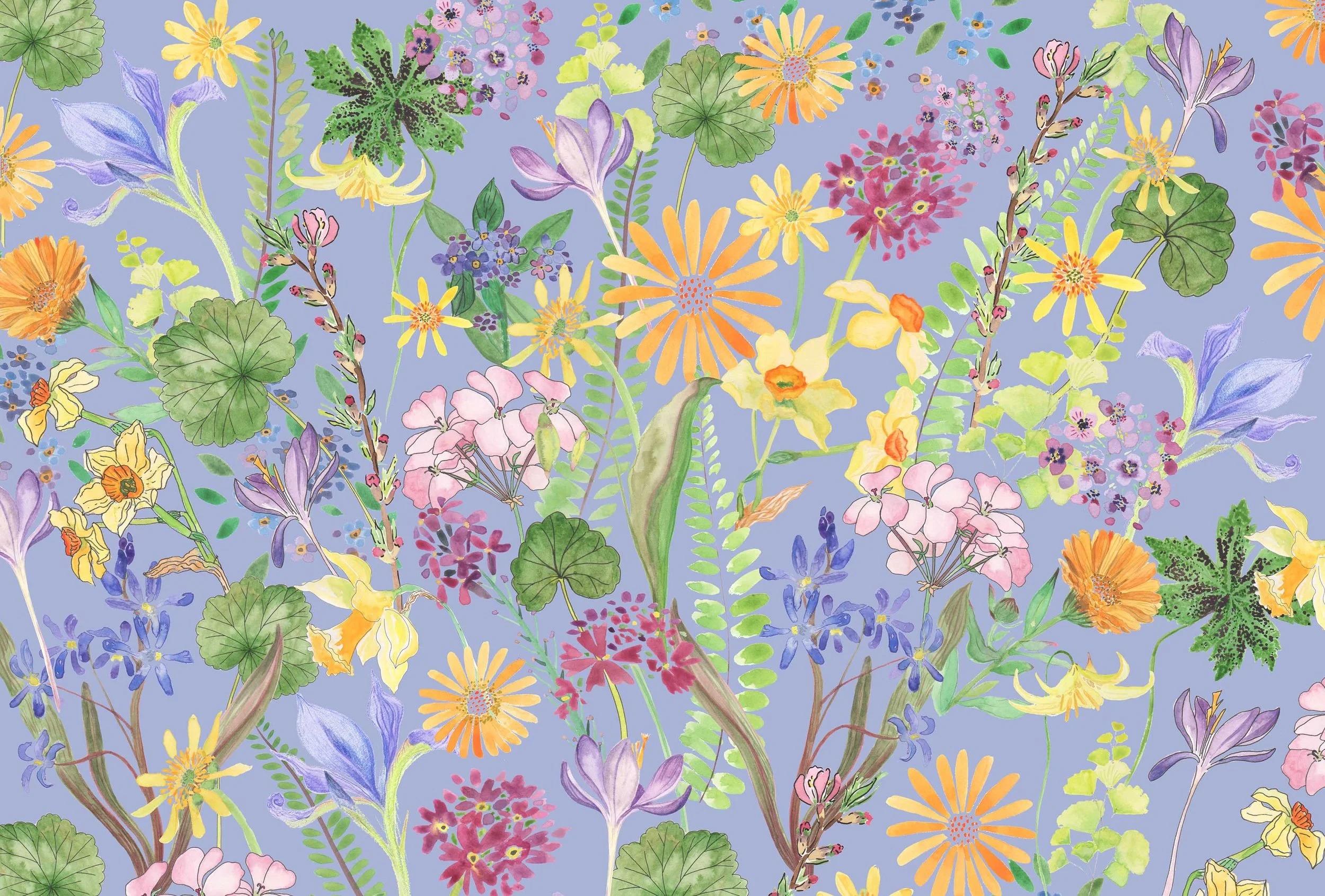 Yellow Spring print.jpg