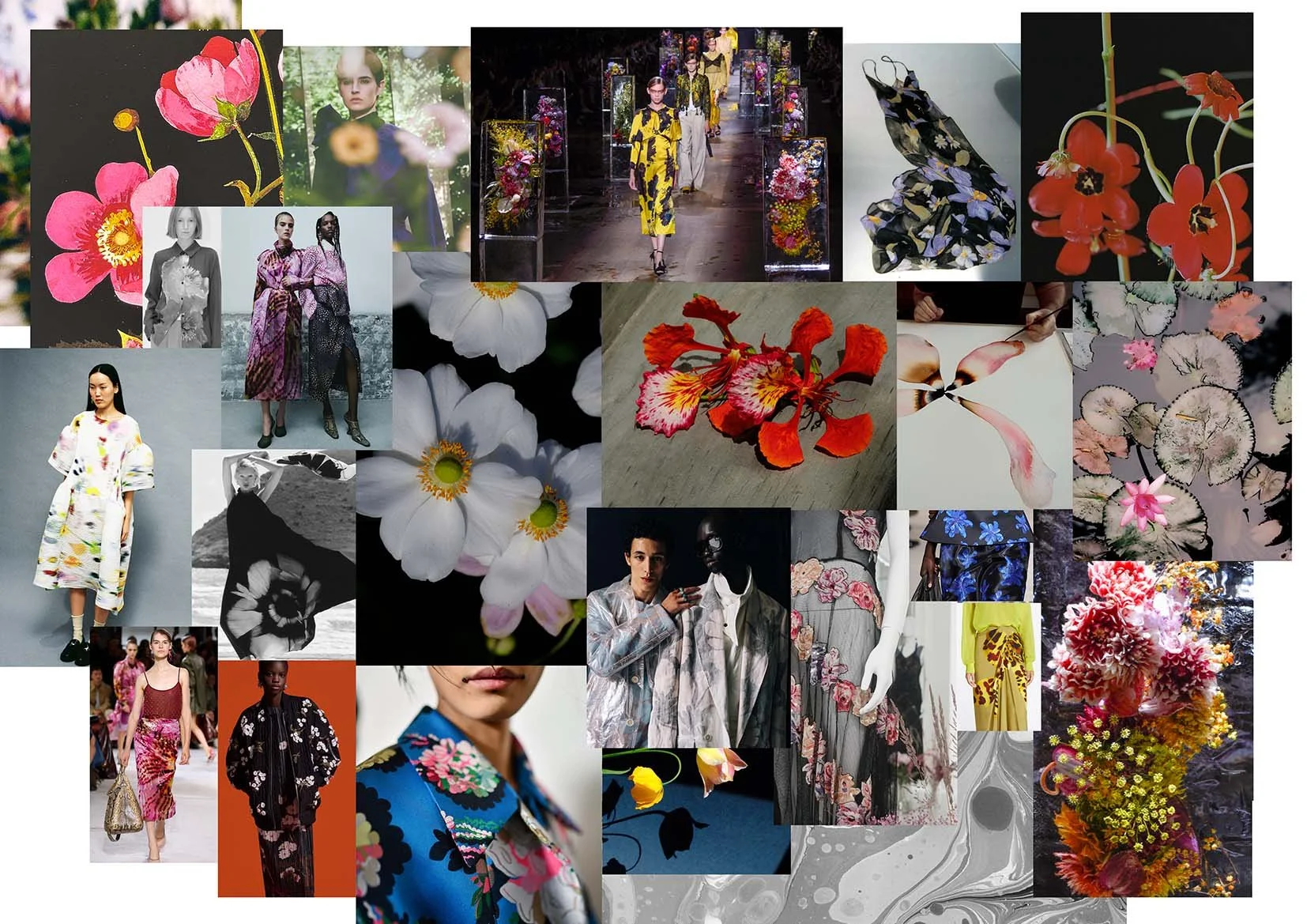Midnight Floral - AW26 Mood