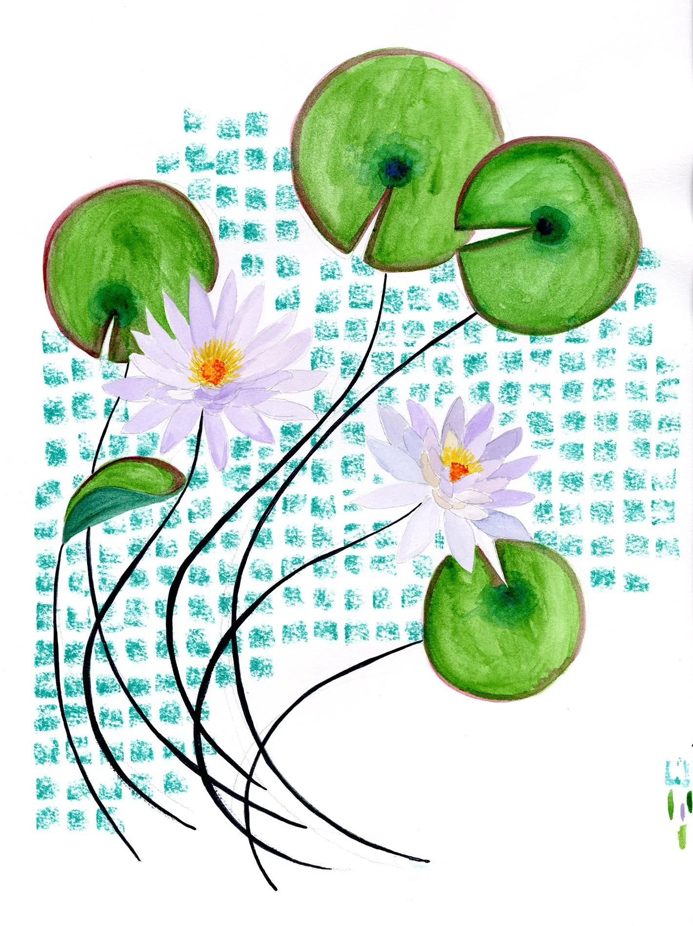 Waterlily website sketchbook.jpg