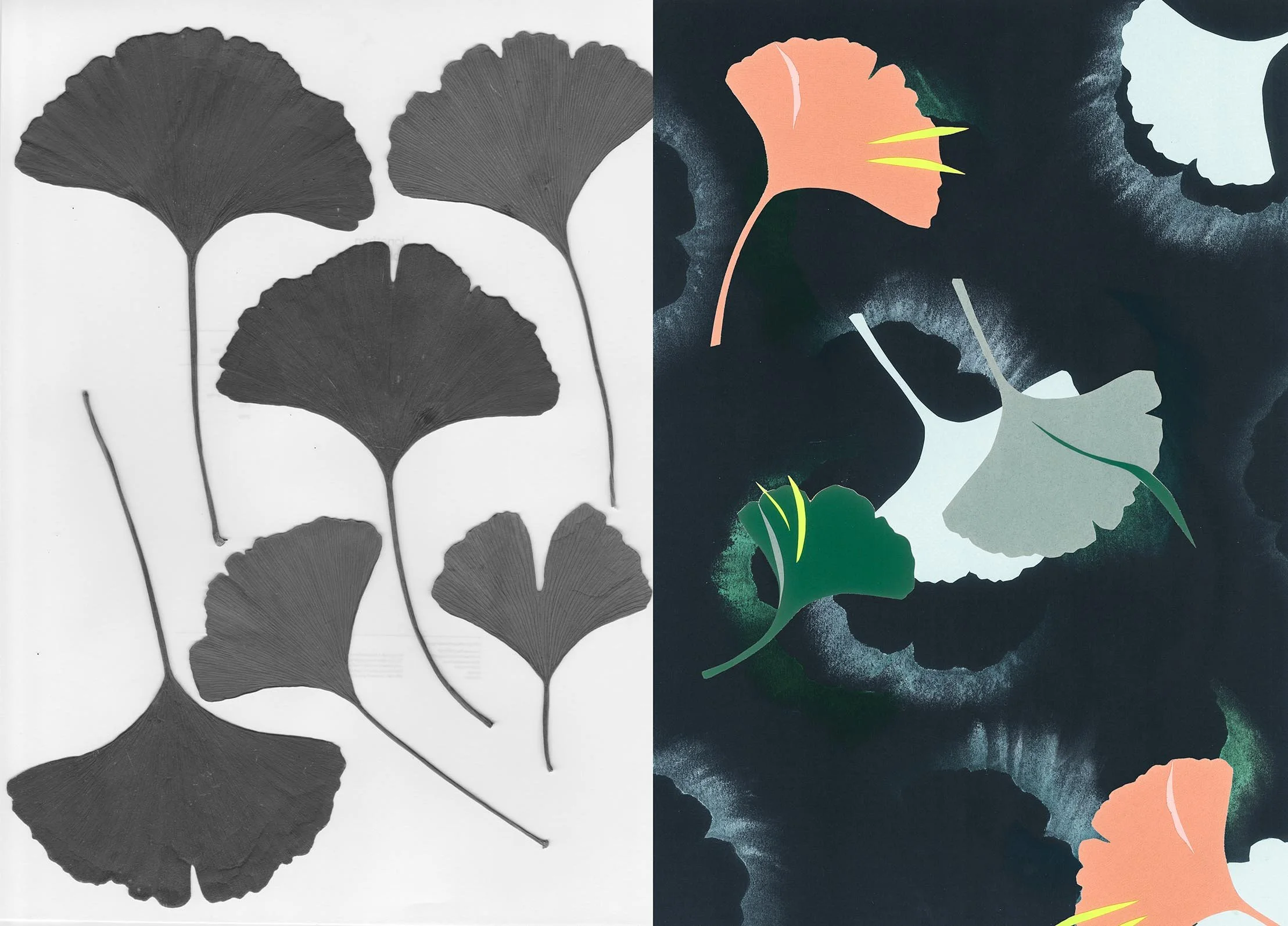 Ginko Leaf experimentation