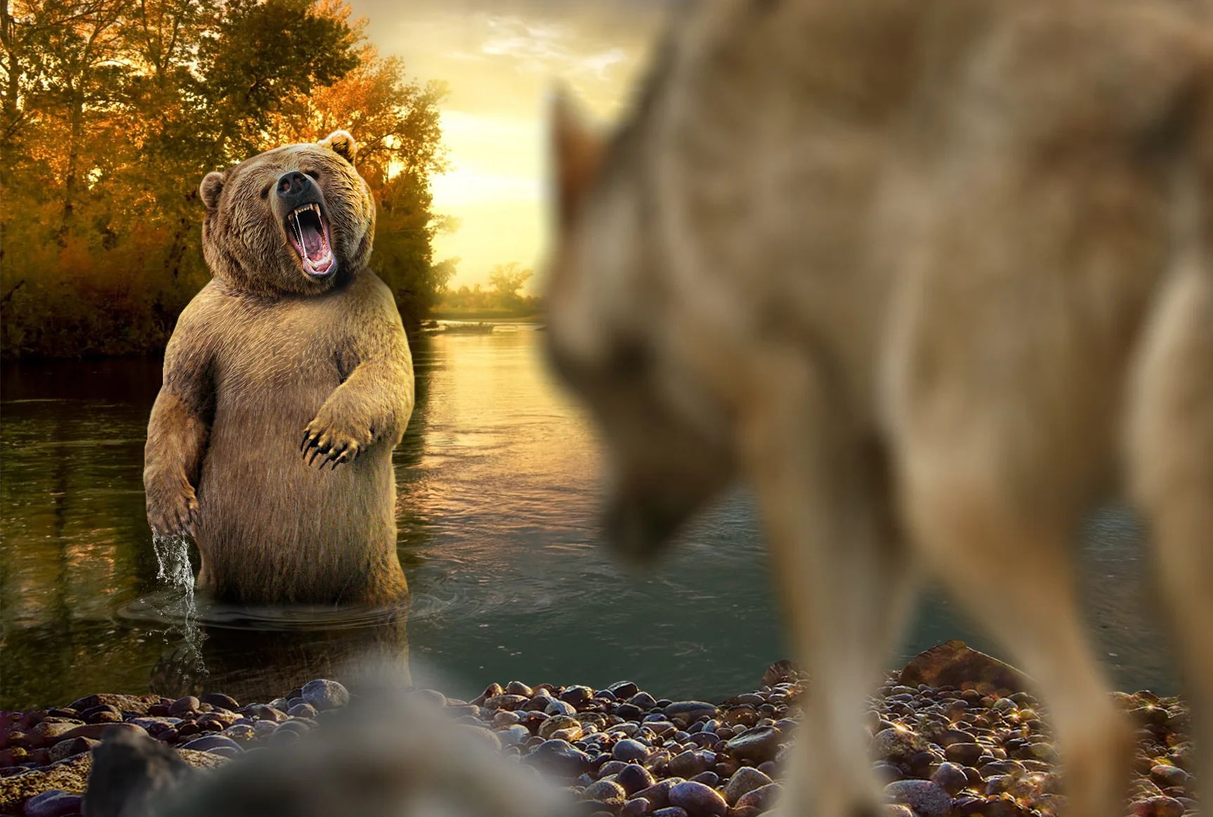 BearVSWolf.jpg