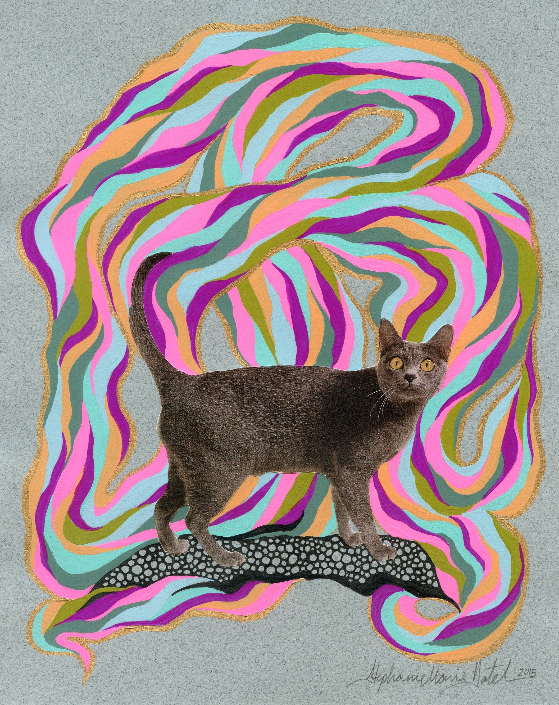 Psycedelic Cat 3 - 8x10 2015.jpg