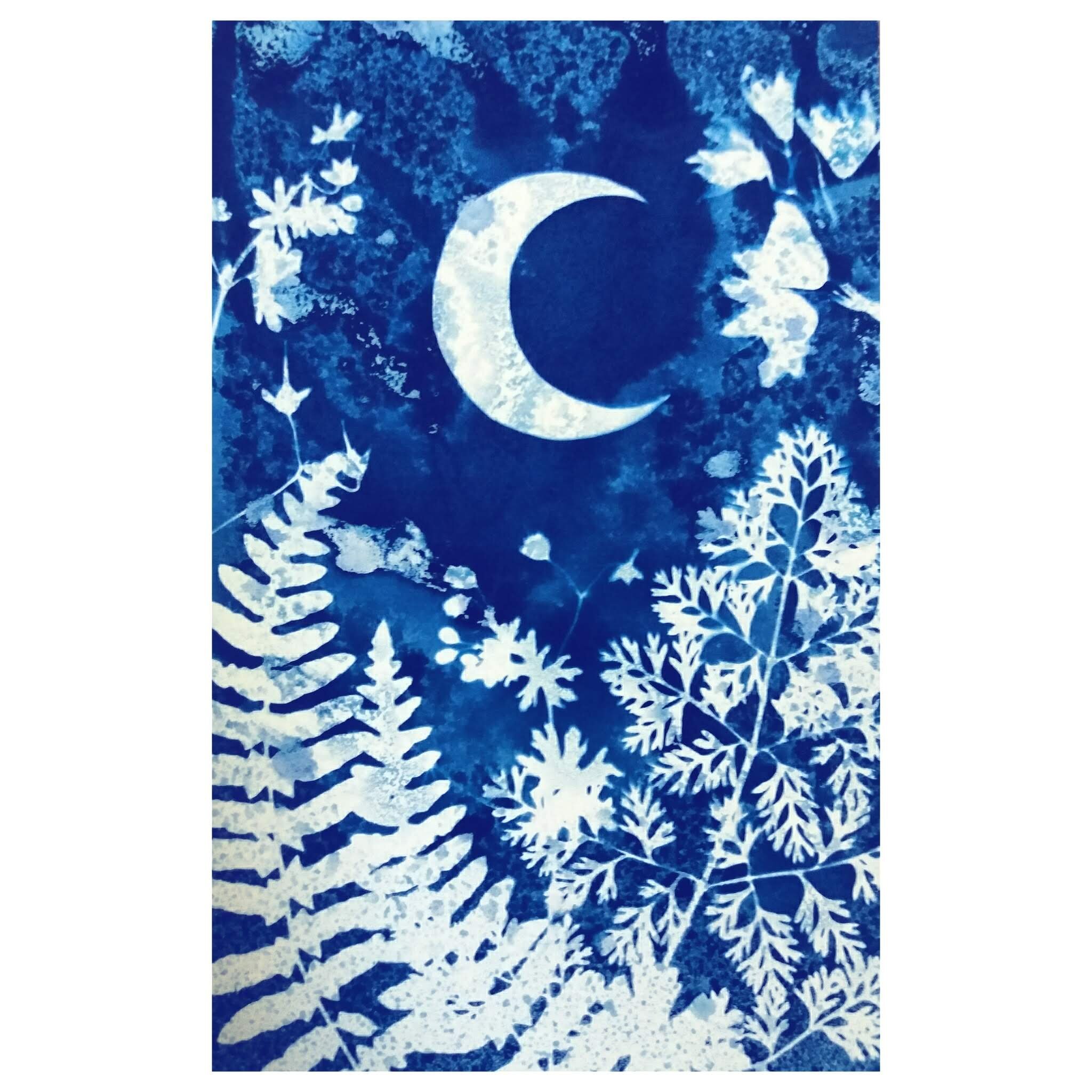 Cyanotype on paper, 2018