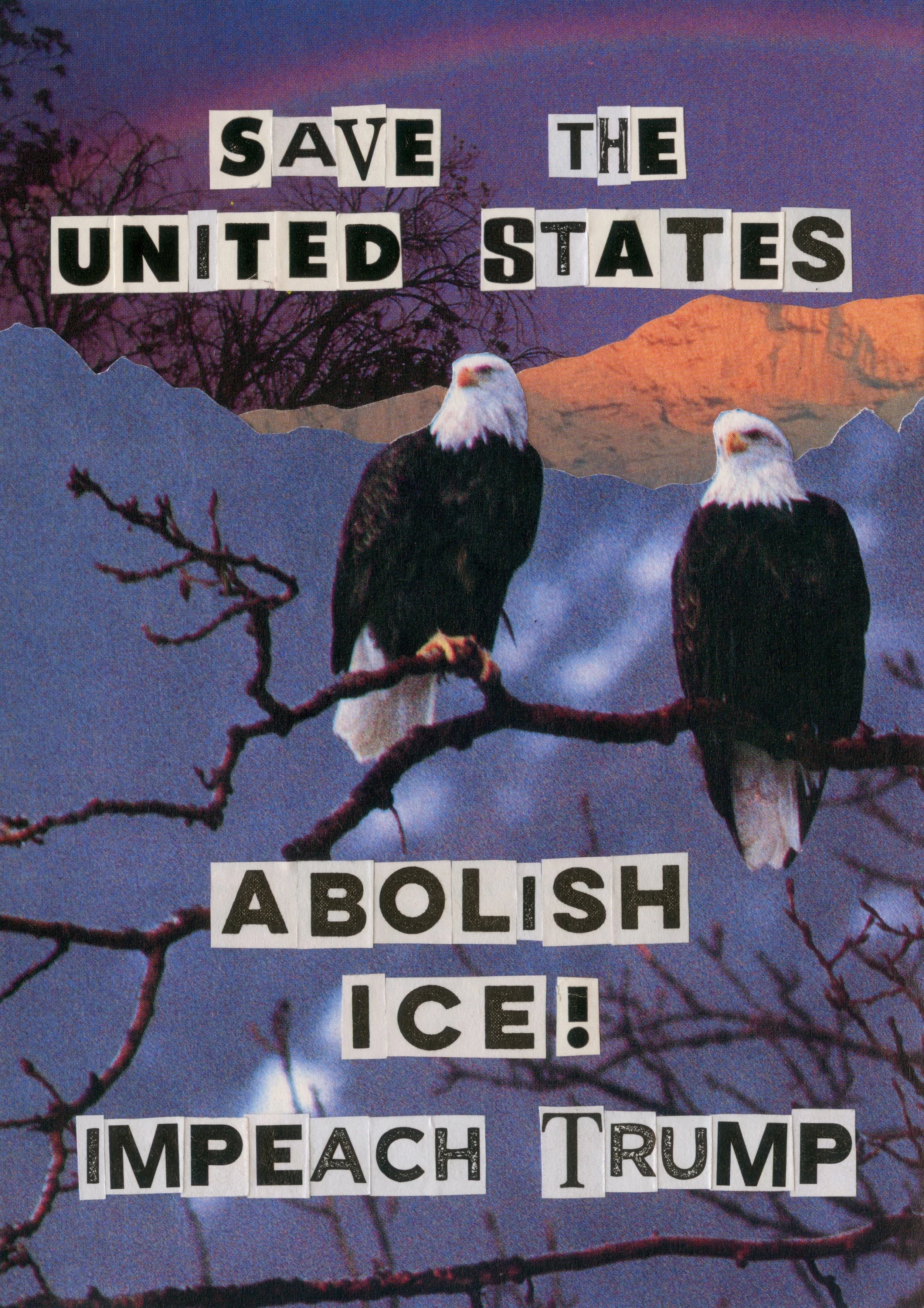 Save the United States by StephanieHatch.jpeg