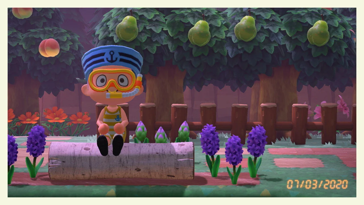 Animal Crossing: The 1-Year Review