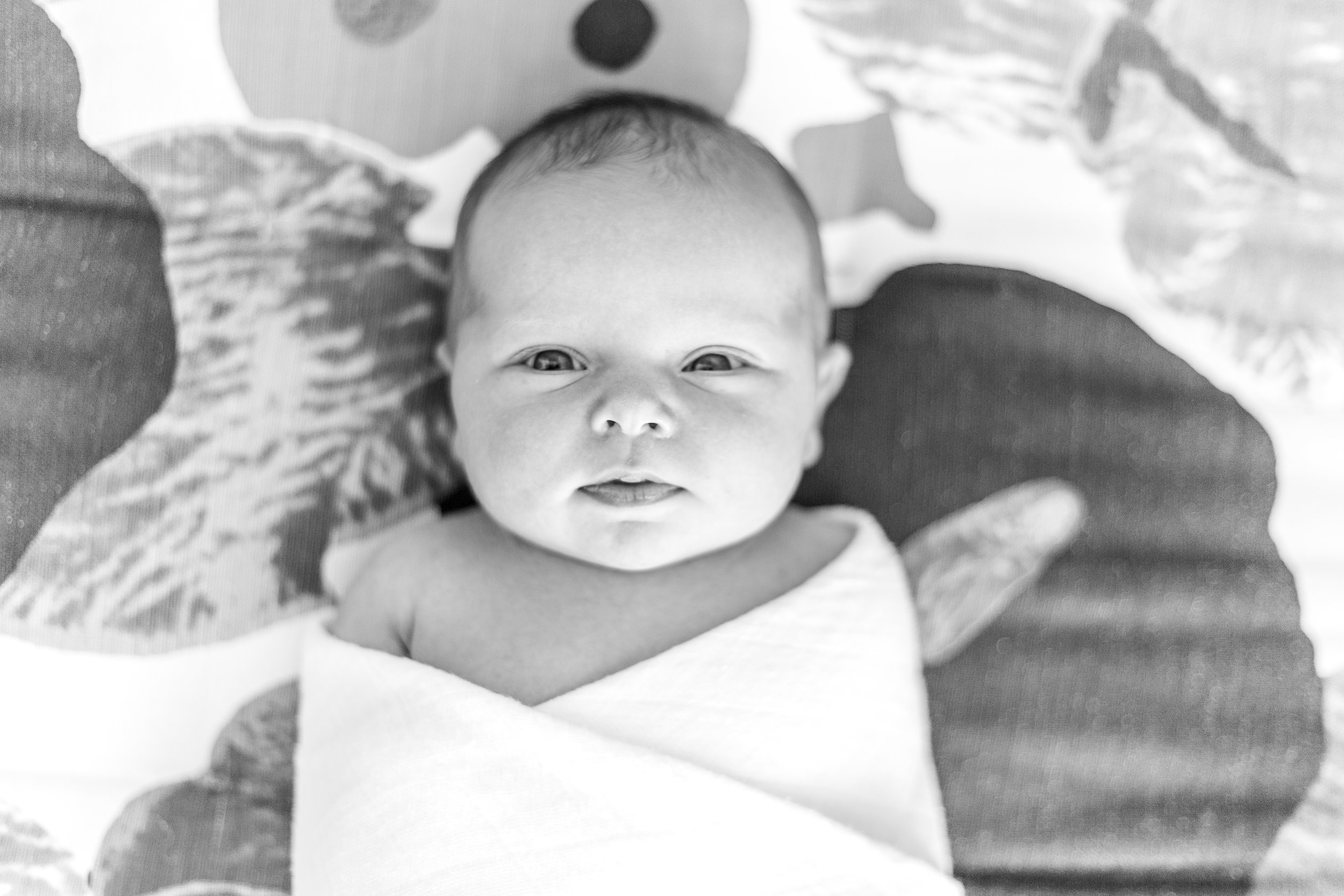 Newborn_Plunkett-9.jpg