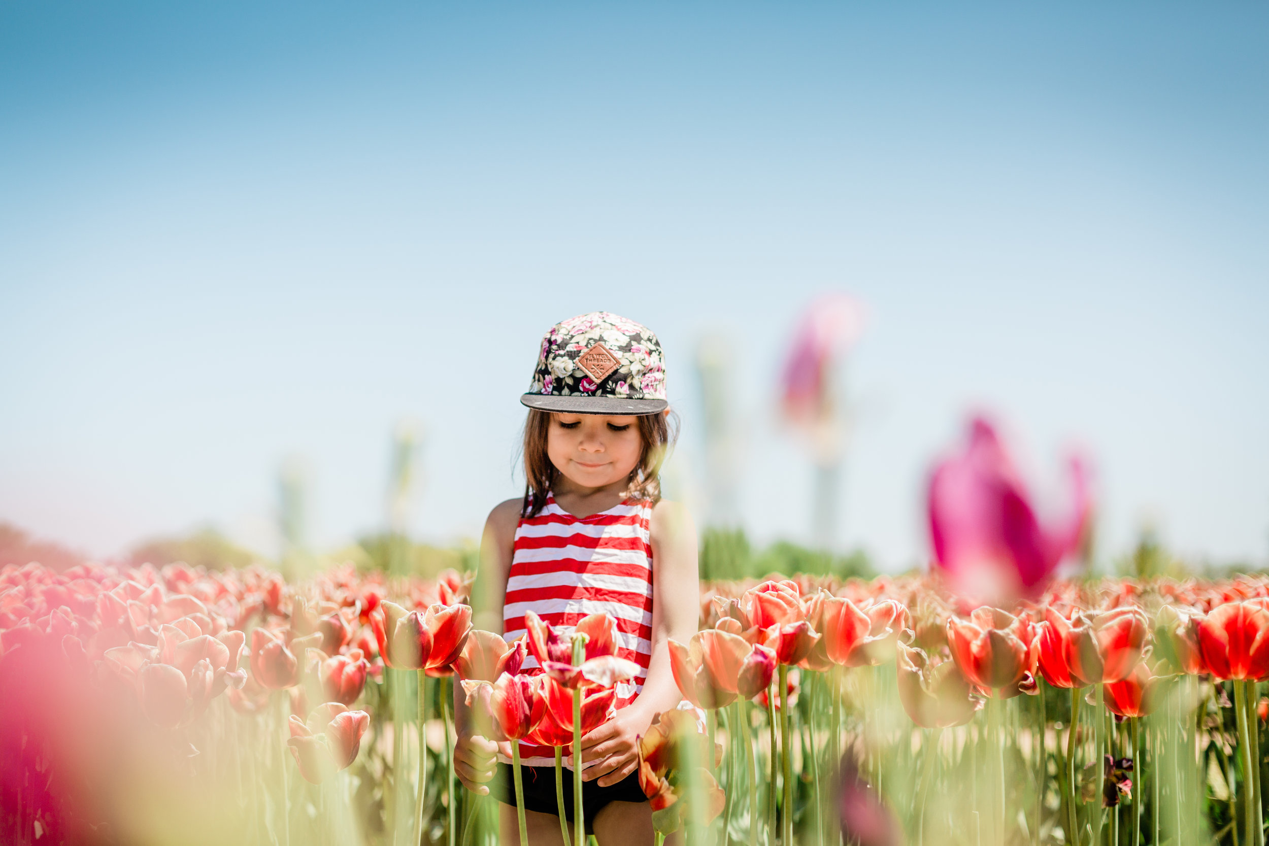 20180508_tulips_28.jpg