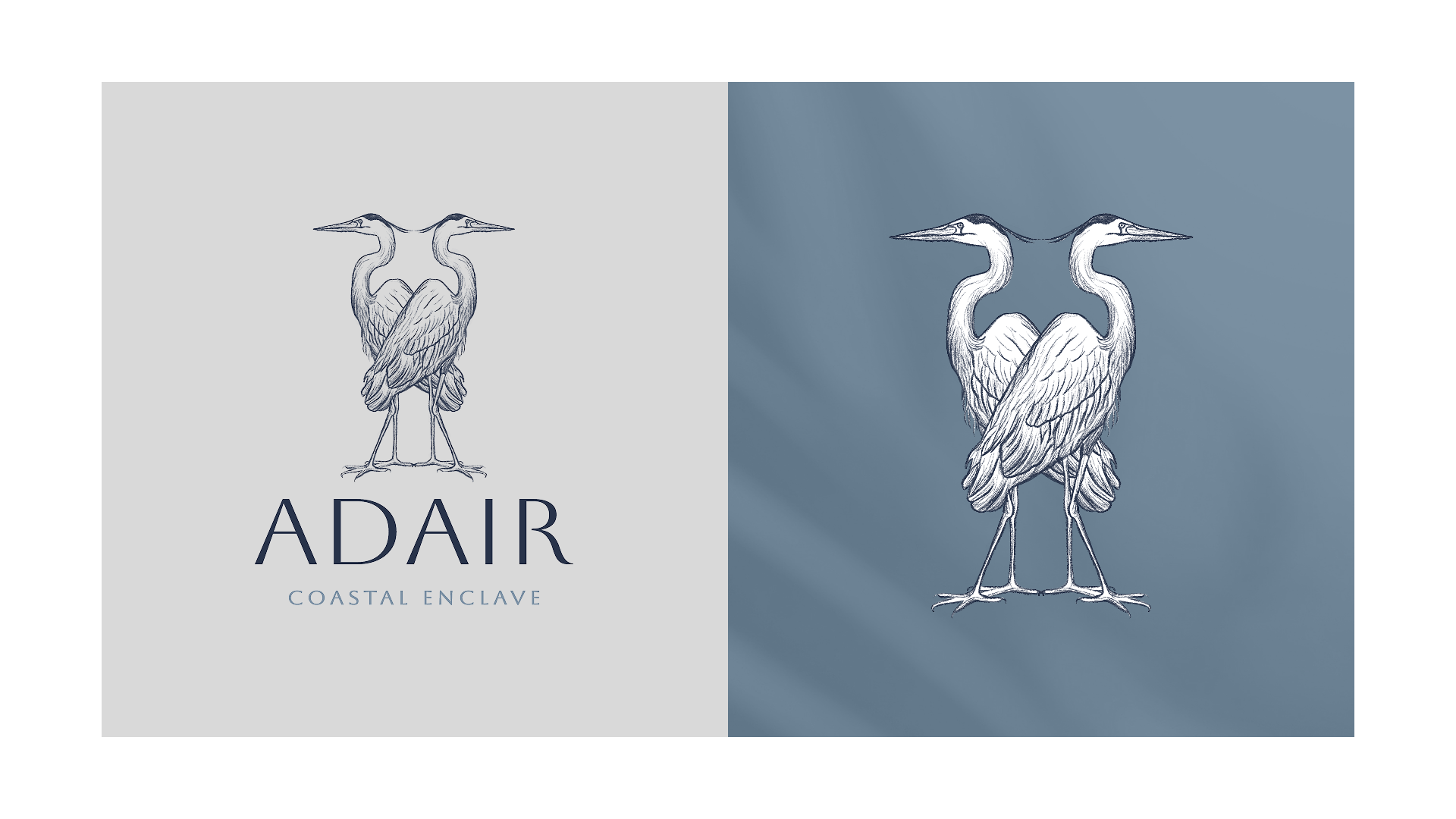 adair-1.png