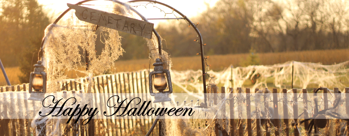 This just makes me happy