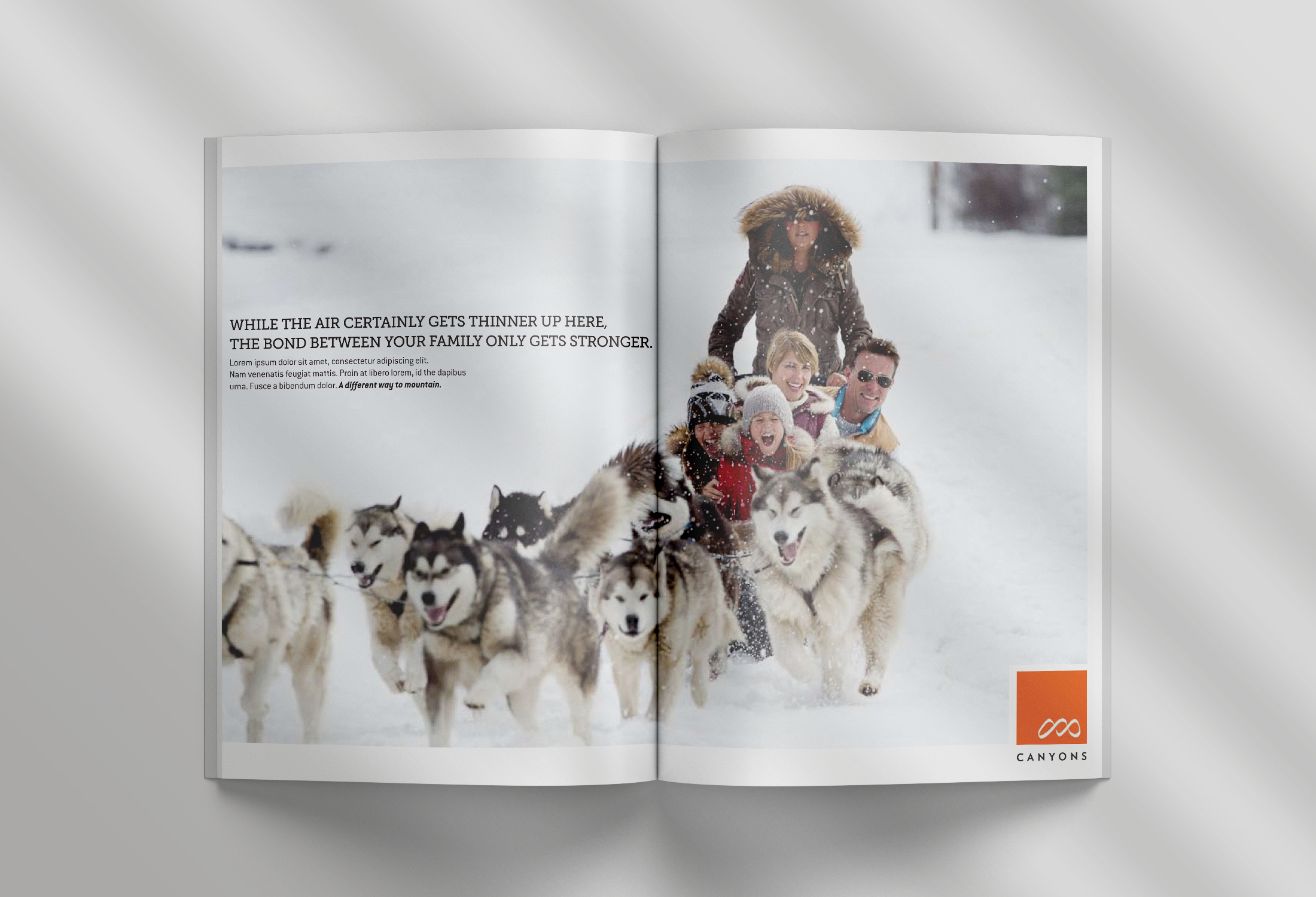 SNOW DOG Mockup.png