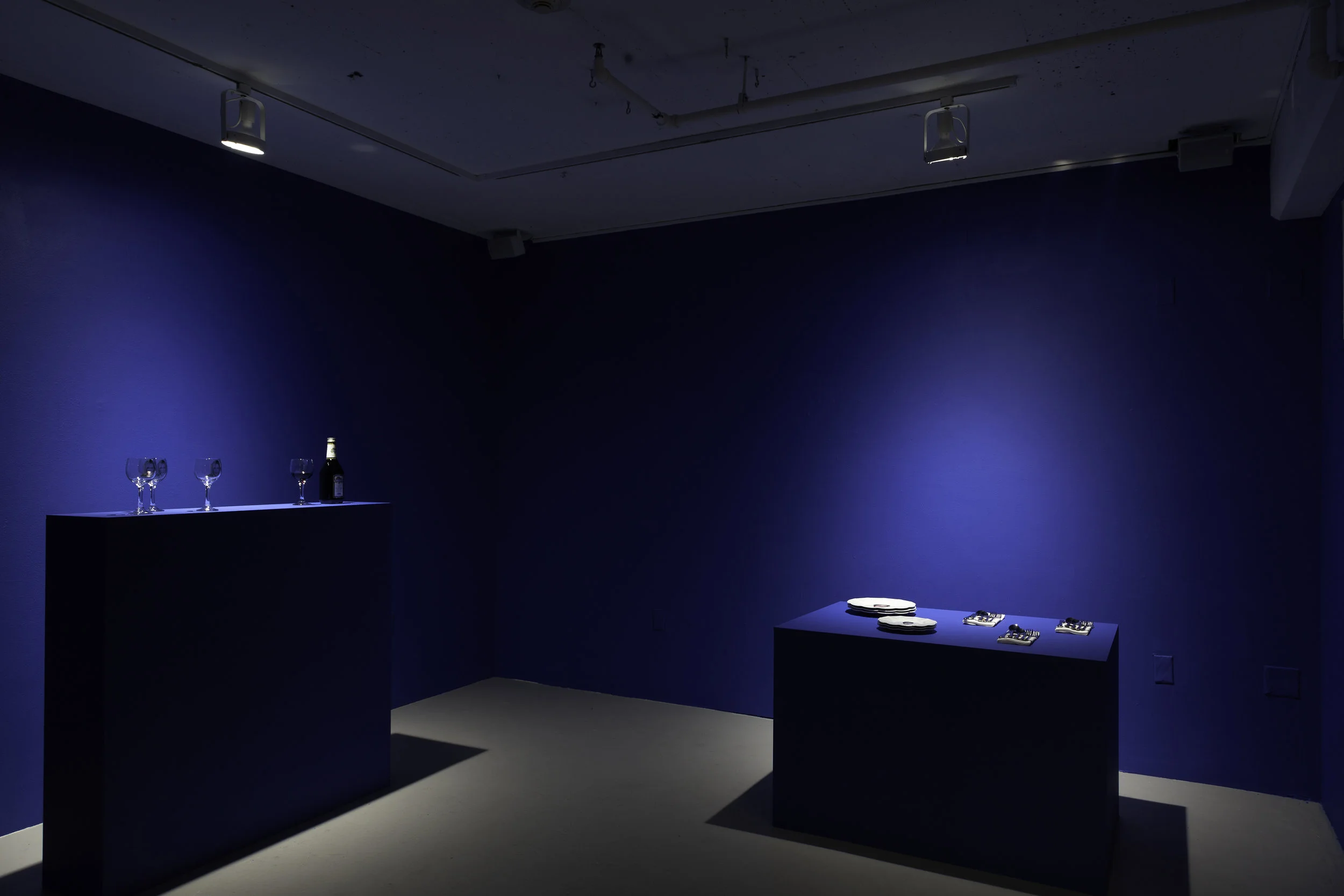 Installation view - Trump Tower D.C. (Accent wall) / Ha'Tikvah