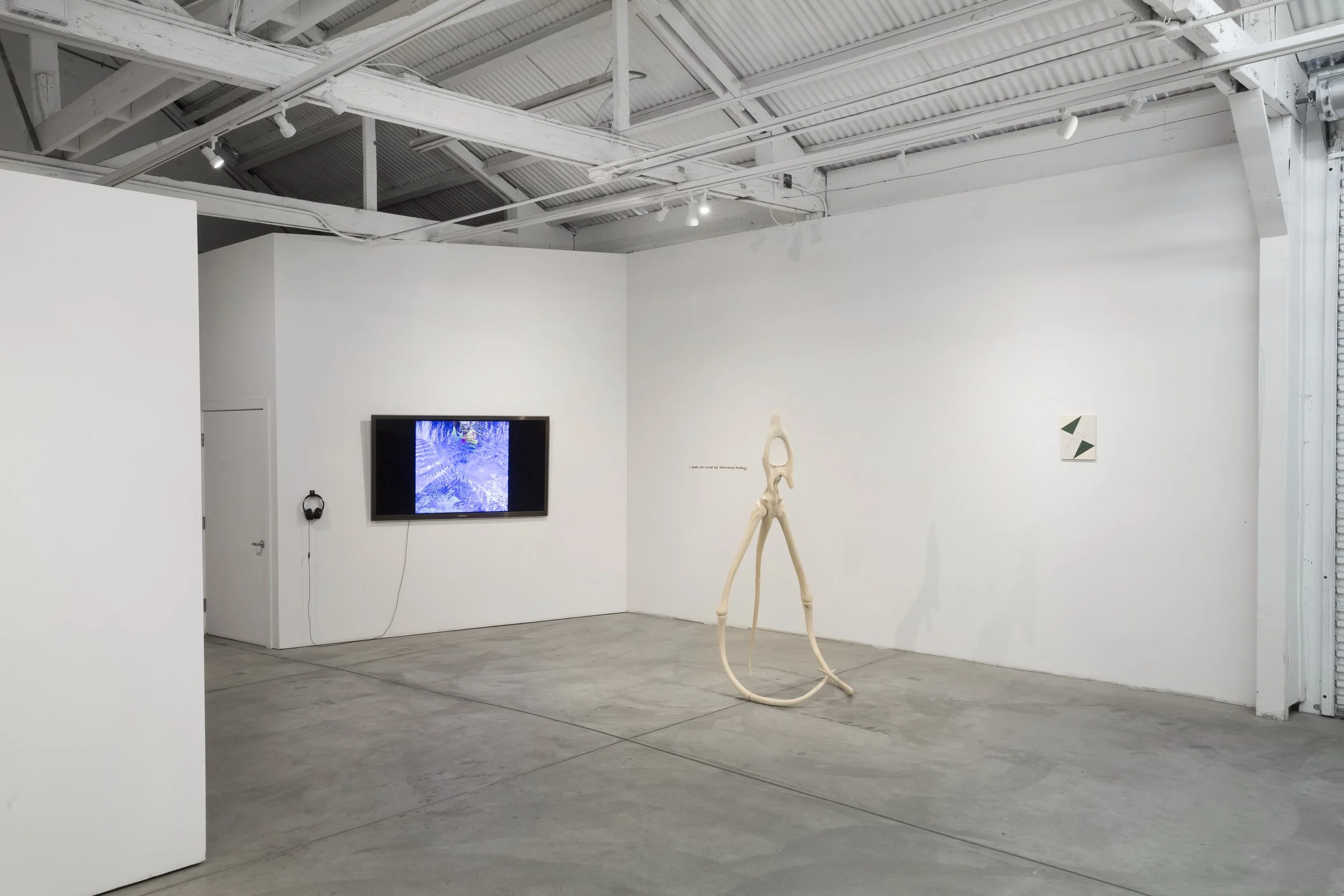 CHIMERA'D Installation View