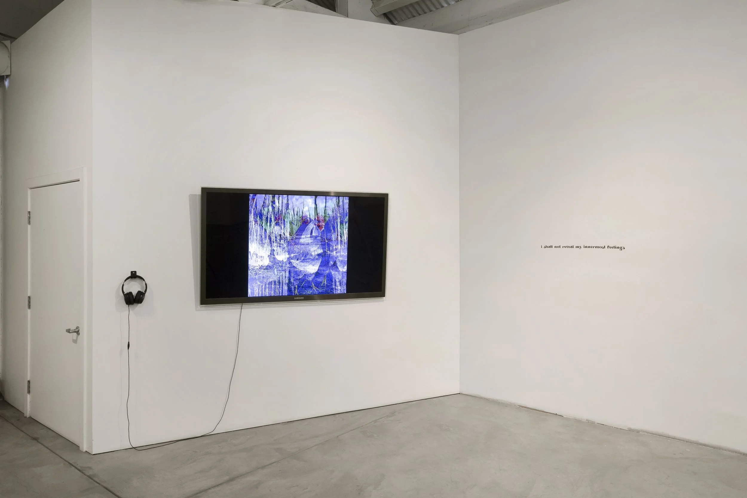 CHIMERA'D Installation View