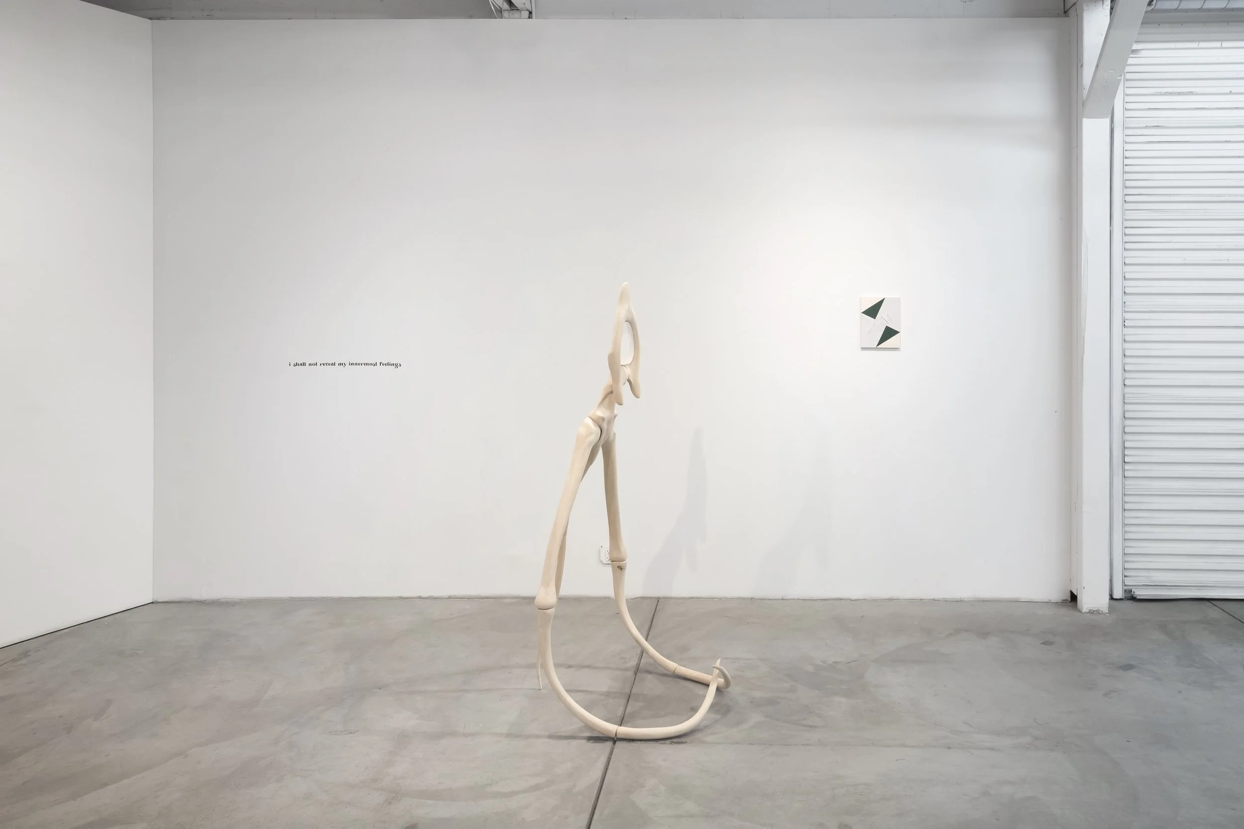 CHIMERA'D Installation View