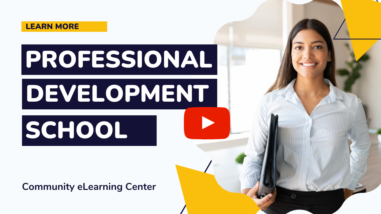 Professional Development School — InsightFormation, Inc.