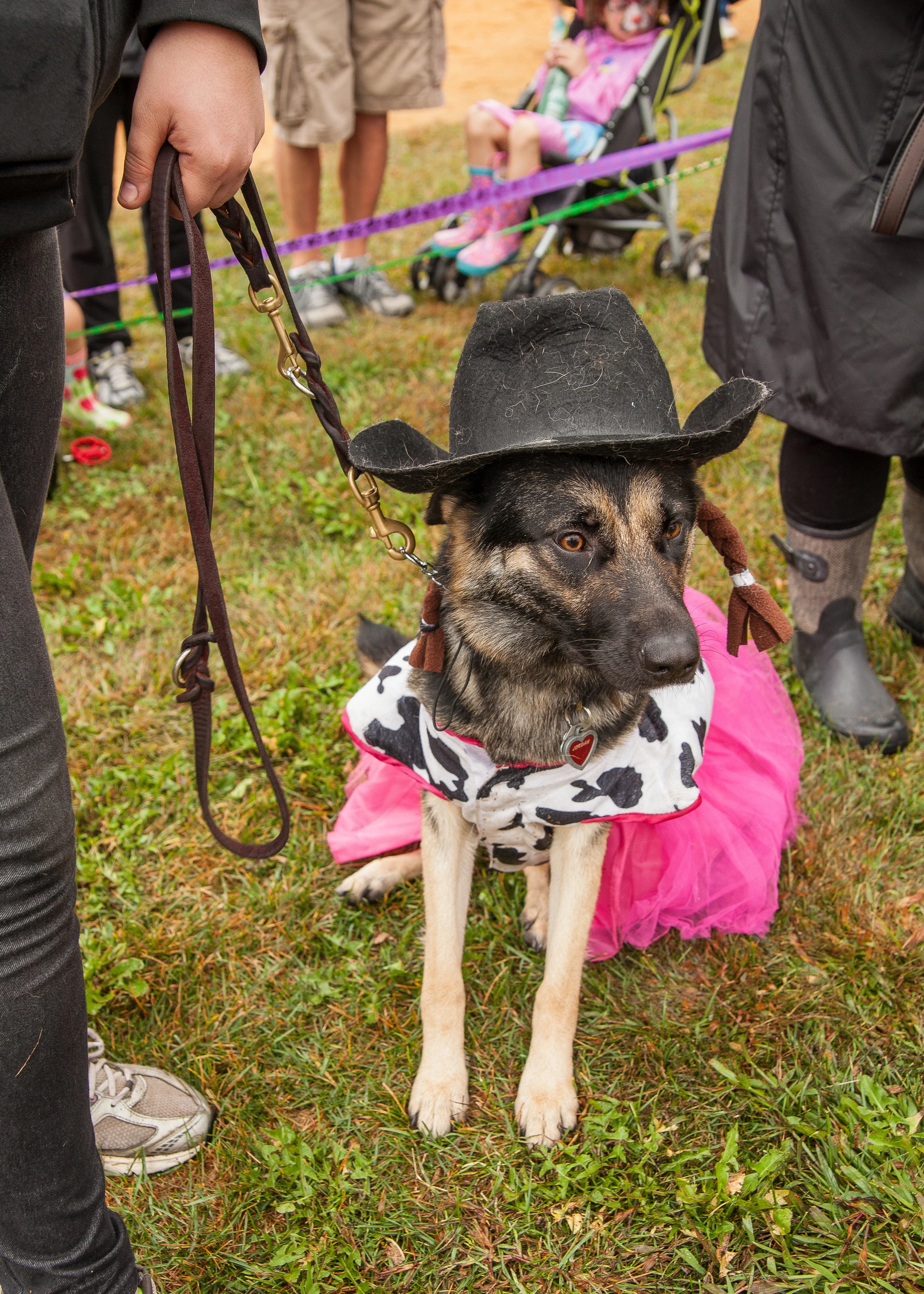 DoggyDash-116.jpg