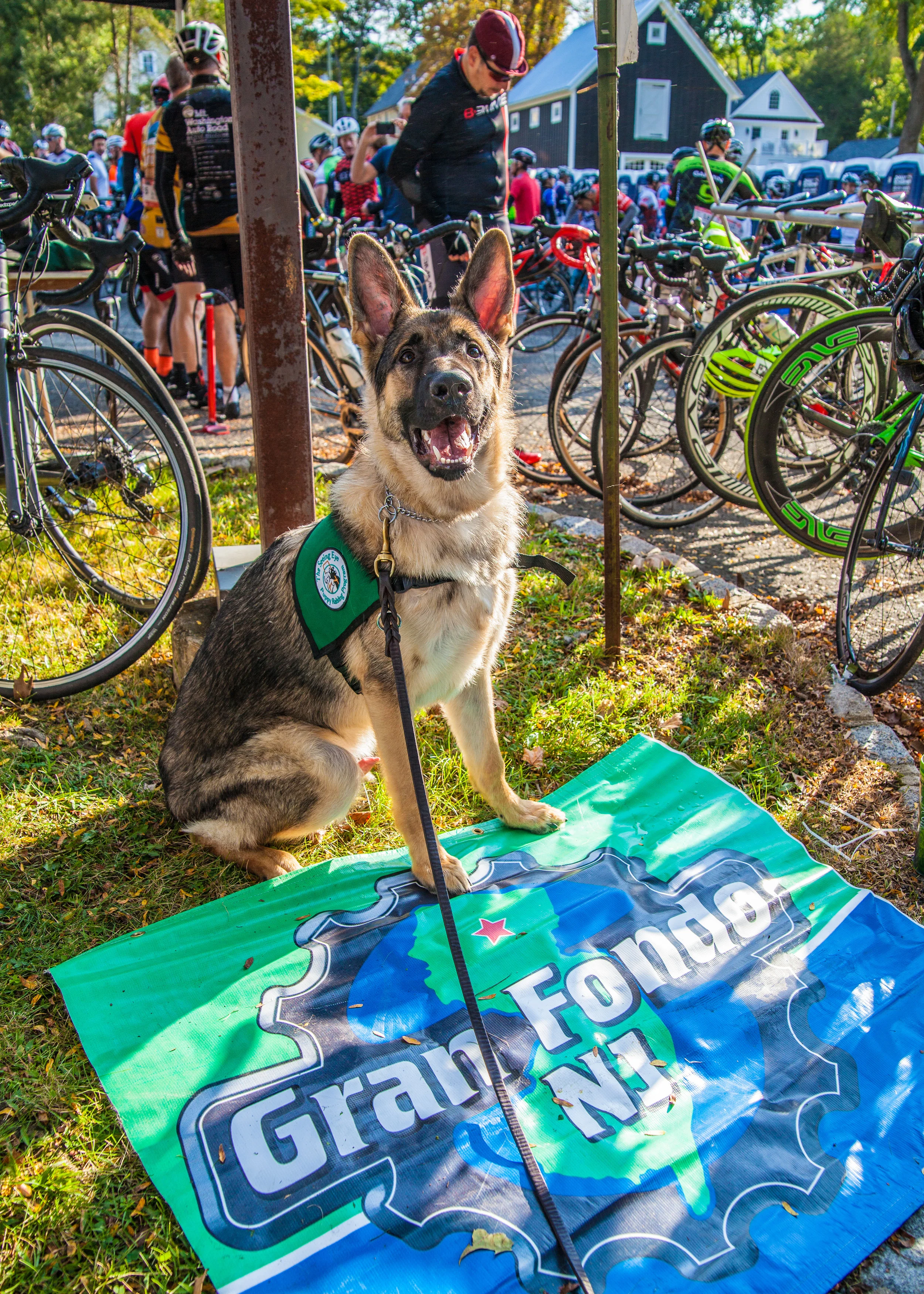 GranFondo17-25.jpg