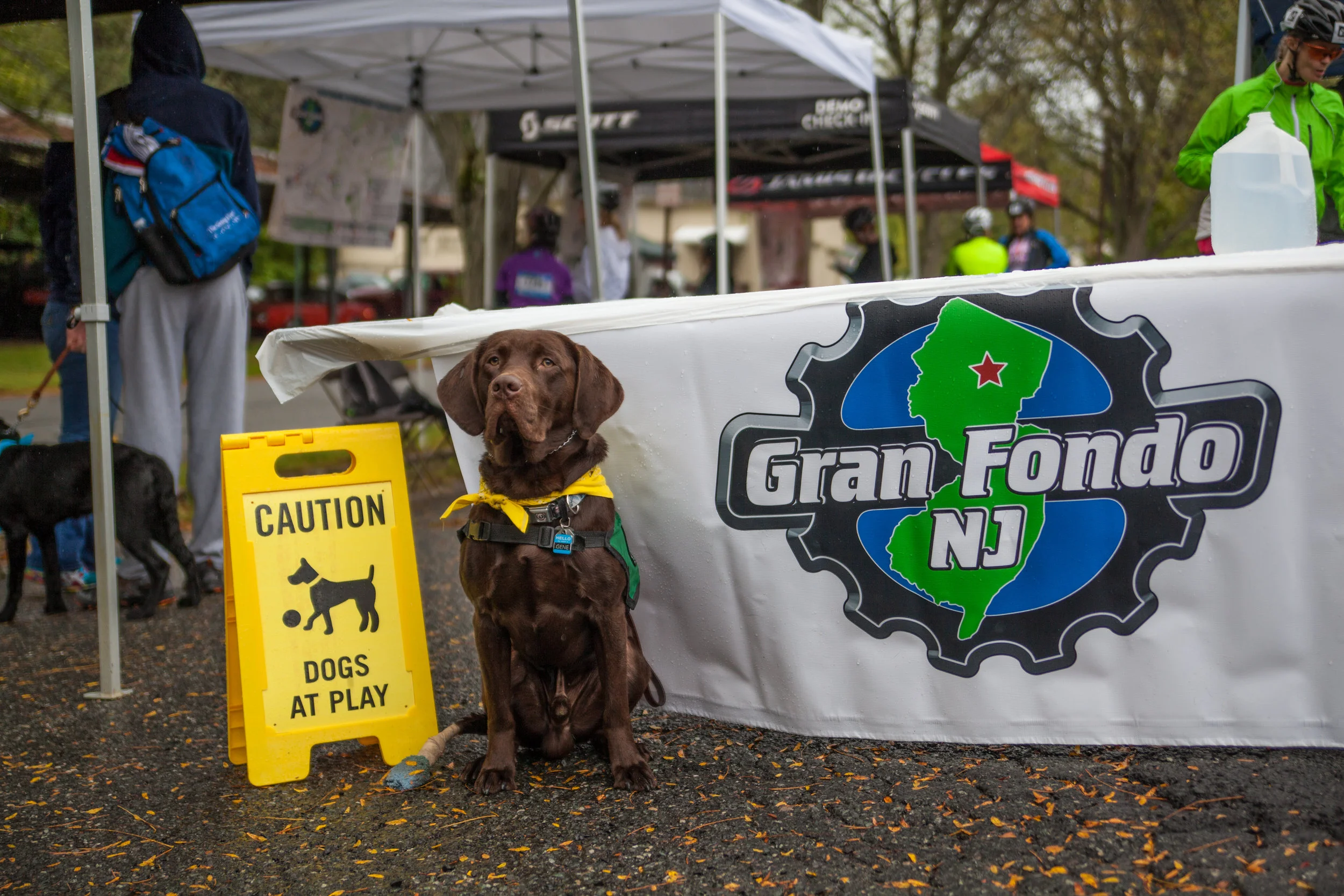 GranFondo2018-73.jpg