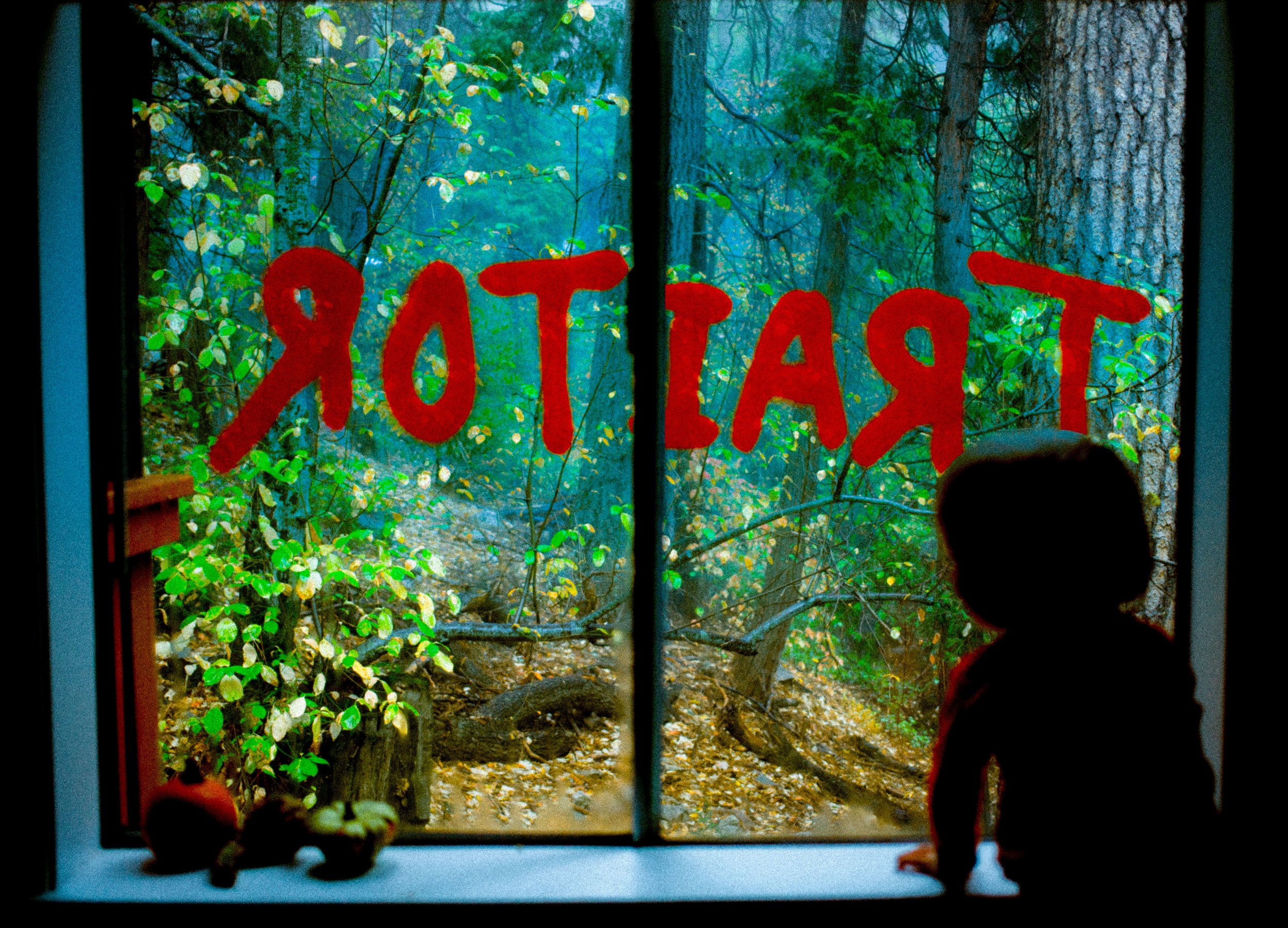 windowwarning_final.jpg