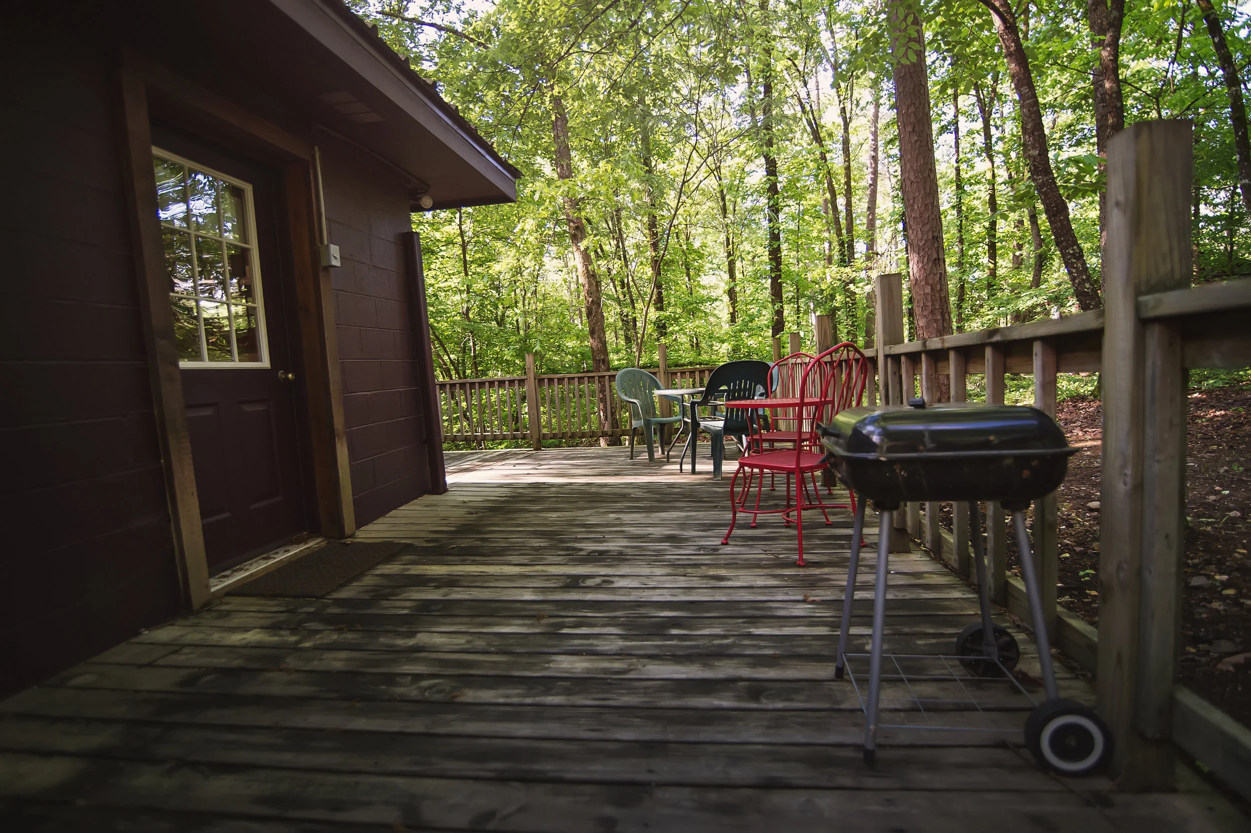 Baby Bear back deck.jpg