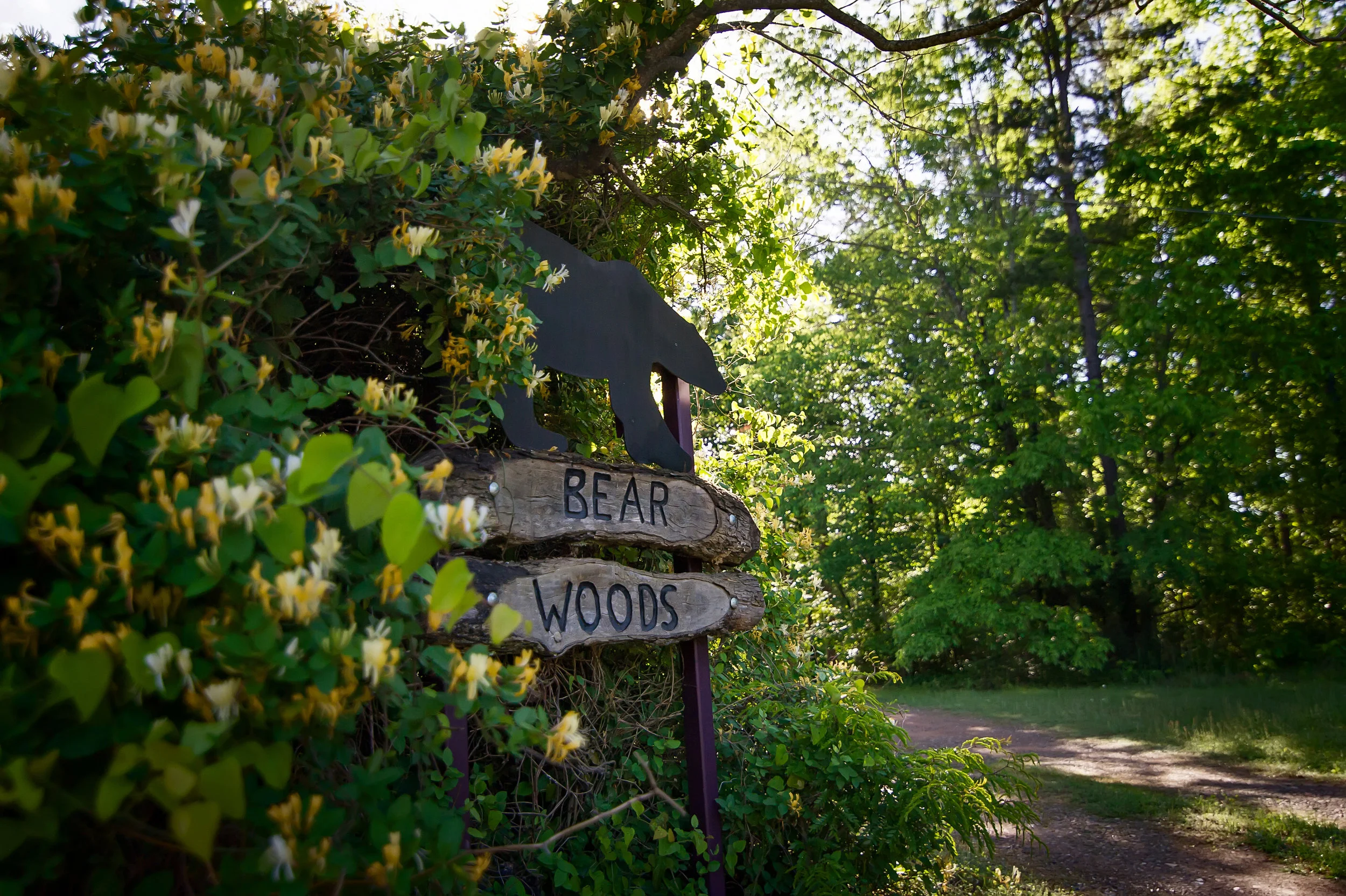 BEAR WOODS SIGN.jpg