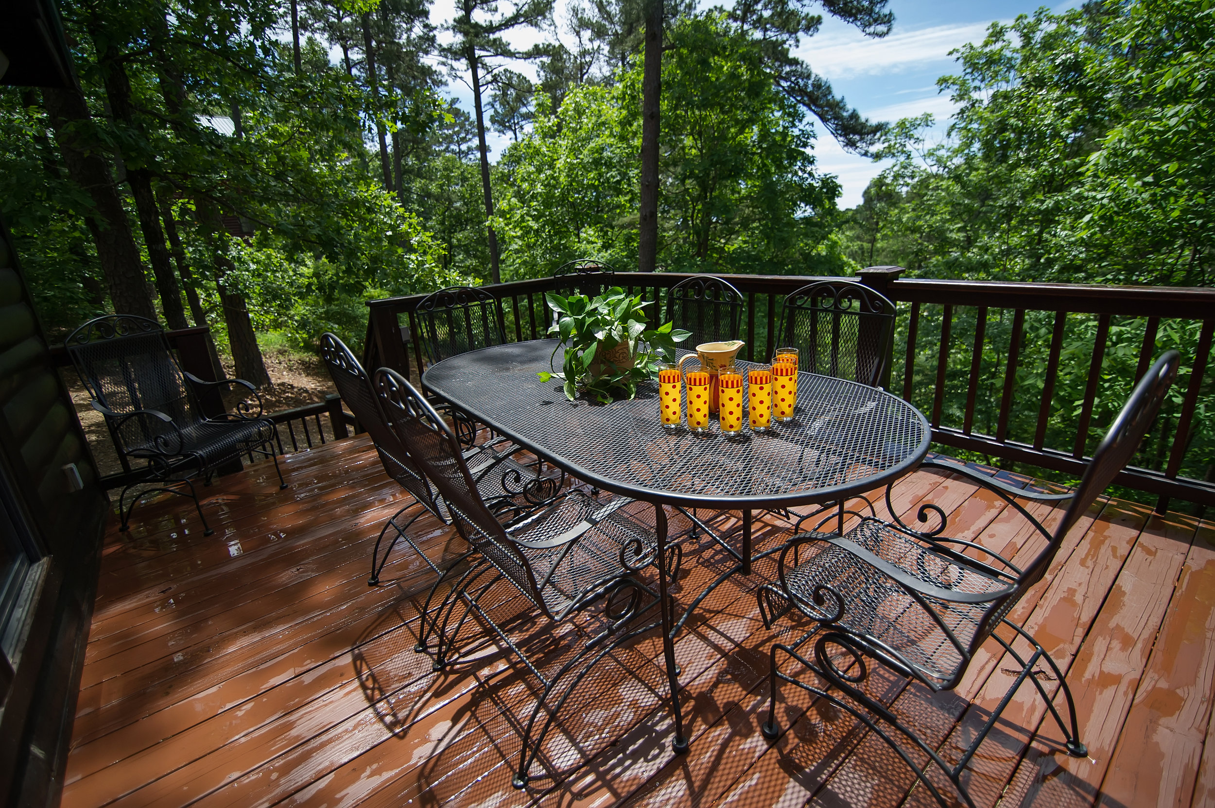 PR Back deck.jpg