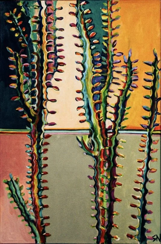 Euphorbia Cactus
