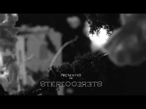 Hard Cider - The Jaguar Club