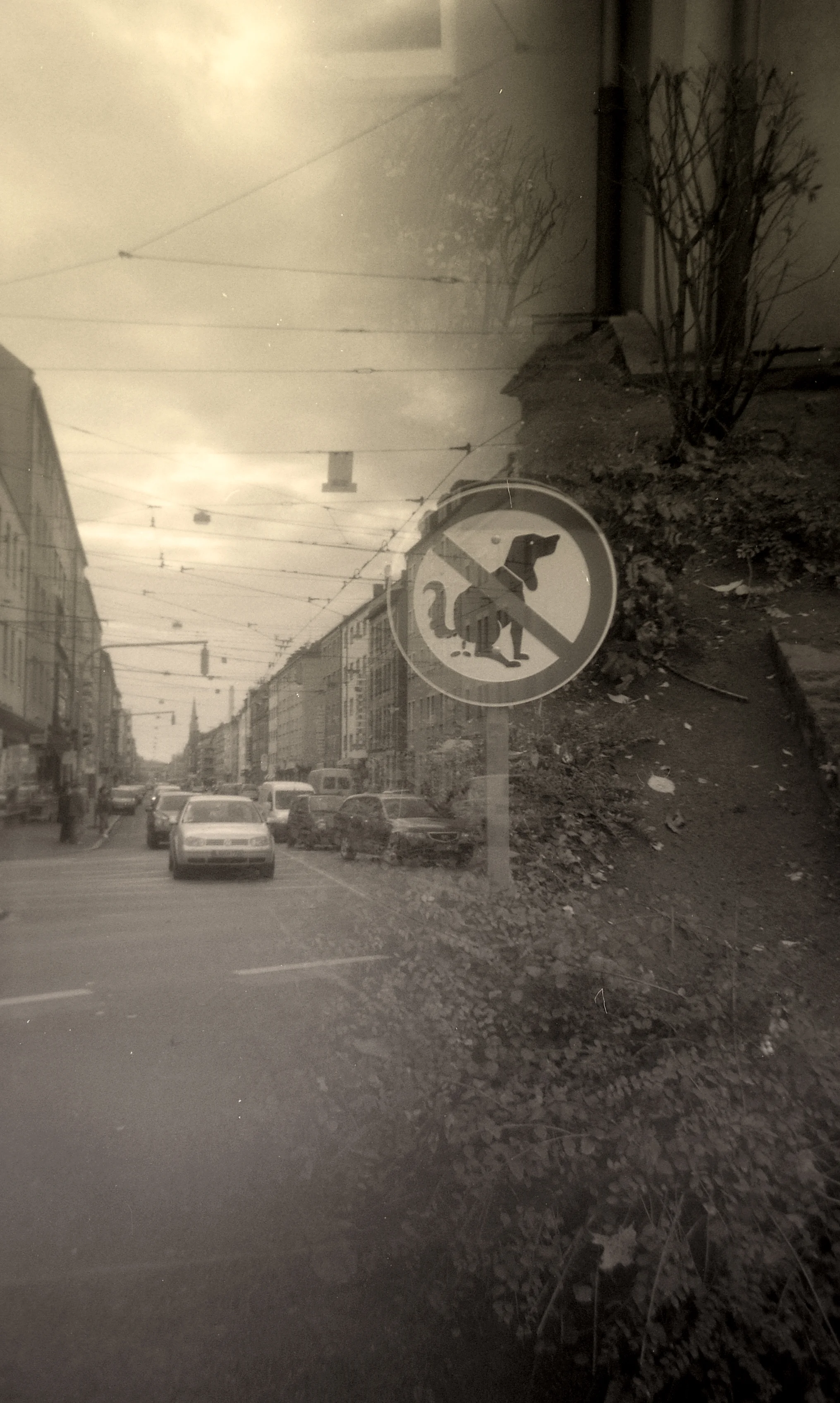 dont-shit-in-the-street_3282059070_o.jpg