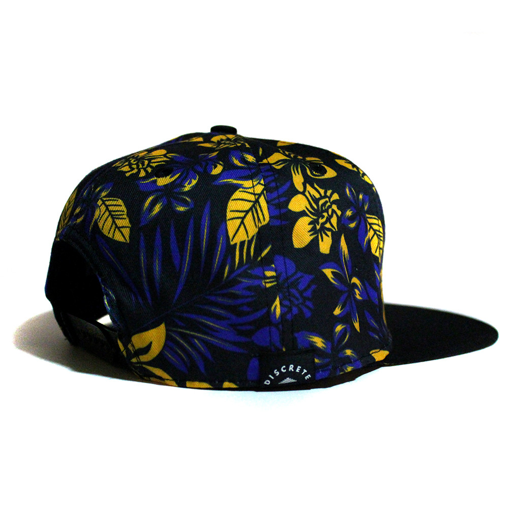 snapback-frame-2.JPG