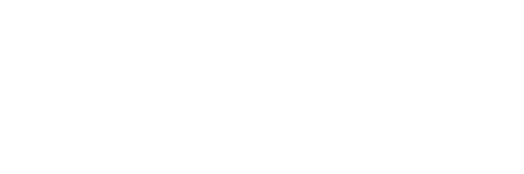 bronco_logo.png