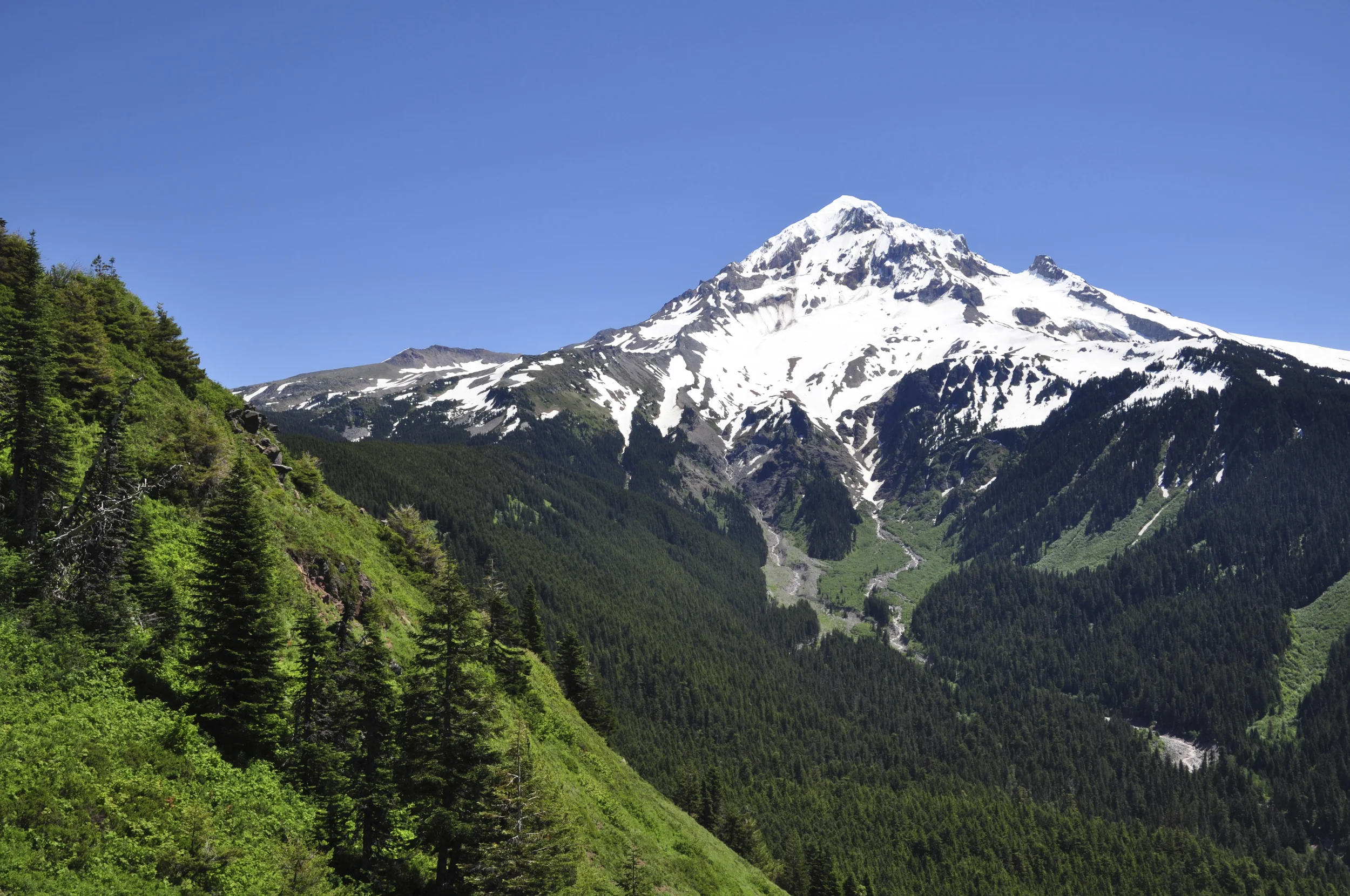 iStock_000013724315_Full.jpg