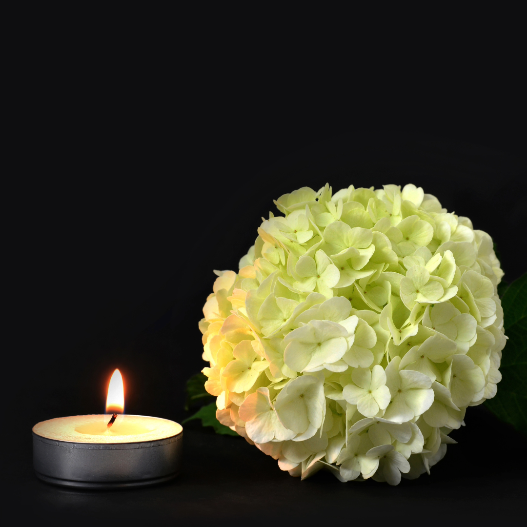 Pinnacle Hospice Care