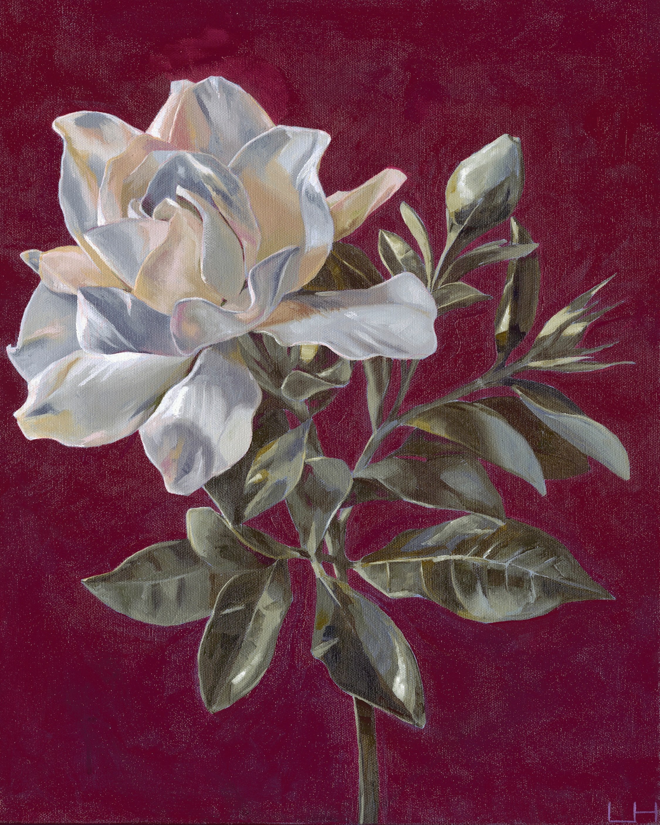 Magnolia2, edited for sharing copy.jpeg